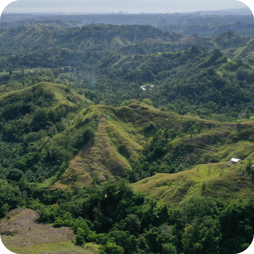 Philippines Reforestation