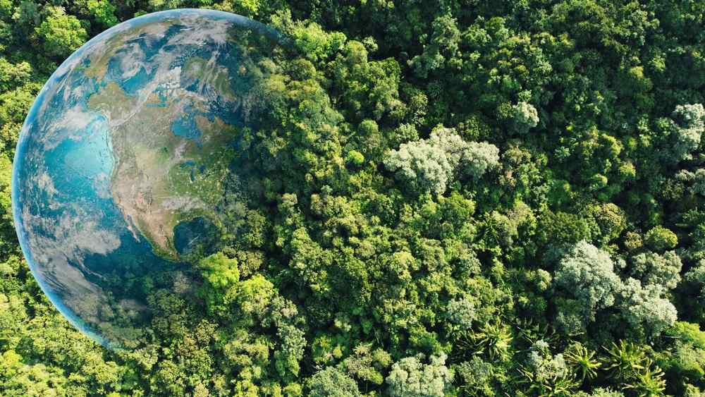 Reforestation is healing our planet.