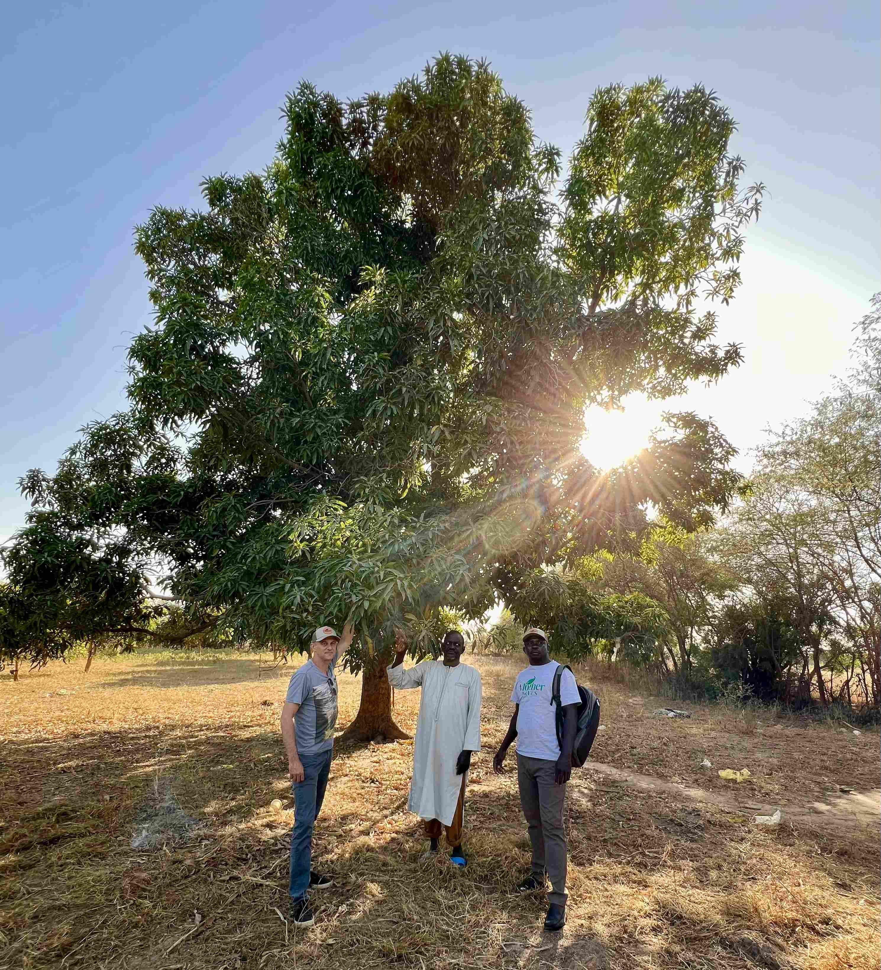 Dakately Senegal Agroforestry Reforestation Plantd Project Making a difference.