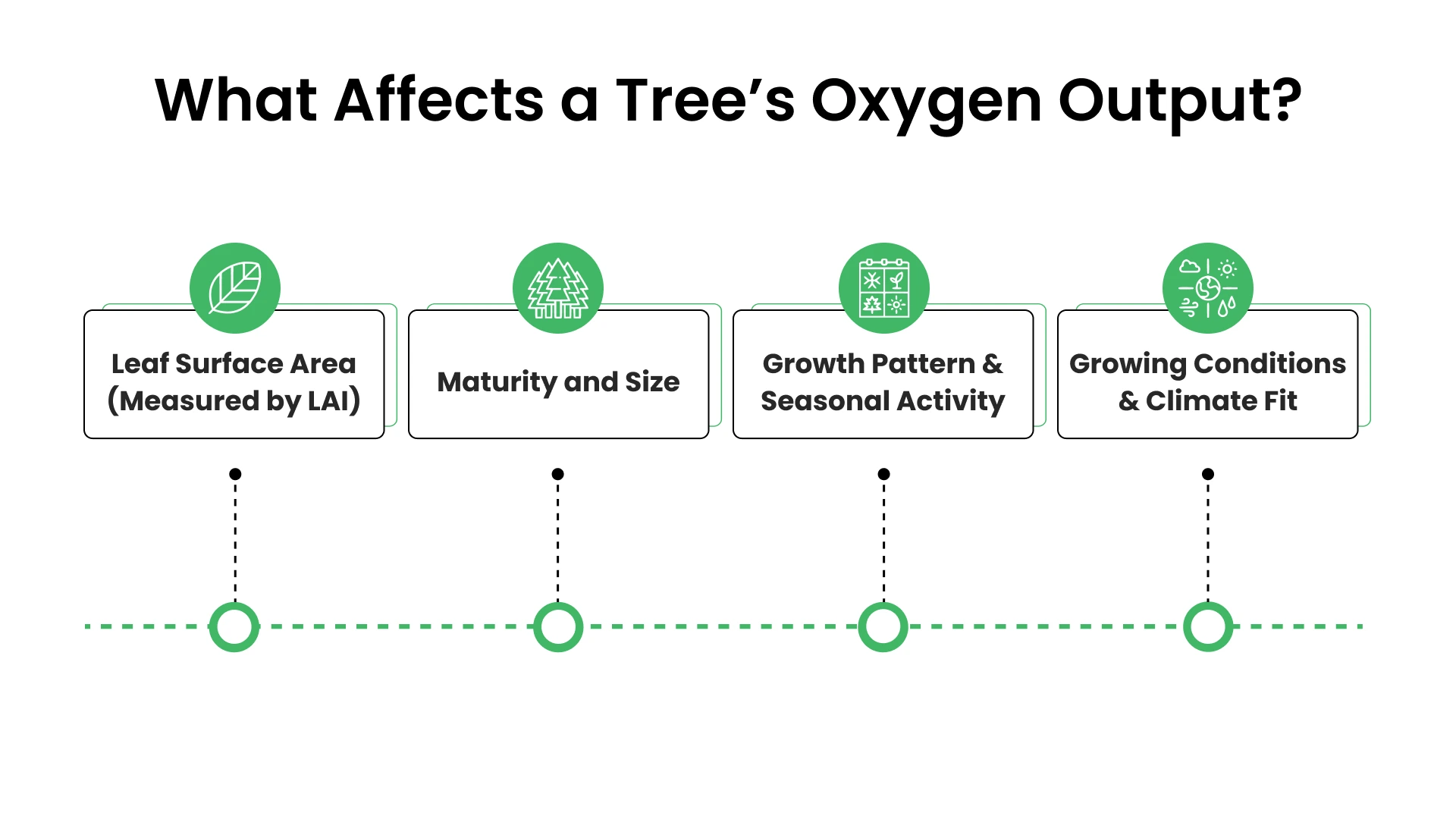 What Affects a Tree’s Oxygen Output?