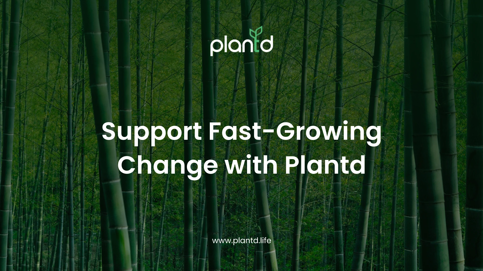 Support Fast-Growing Change with Plantd