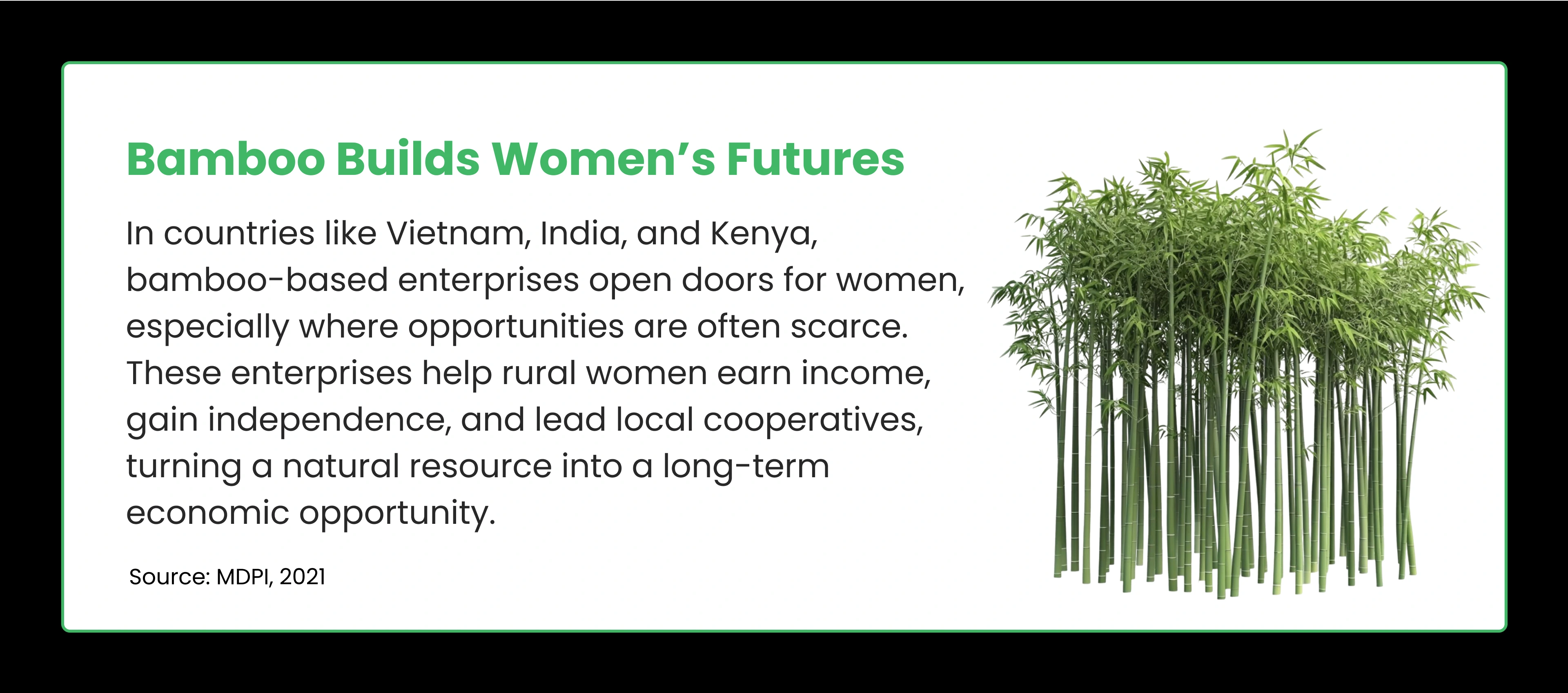 Bamboo builds women's futures