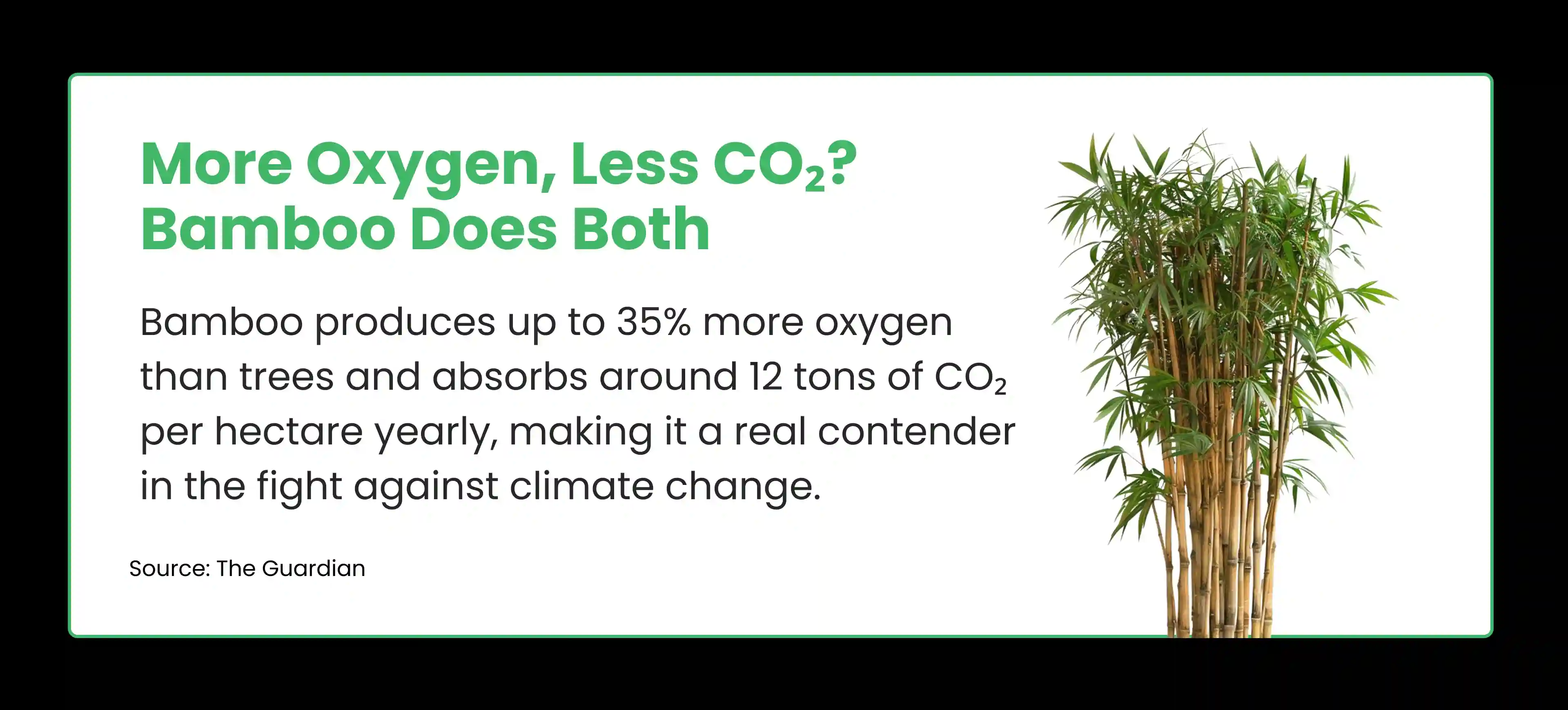 More oxygen, less CO2 - Bamboo does both