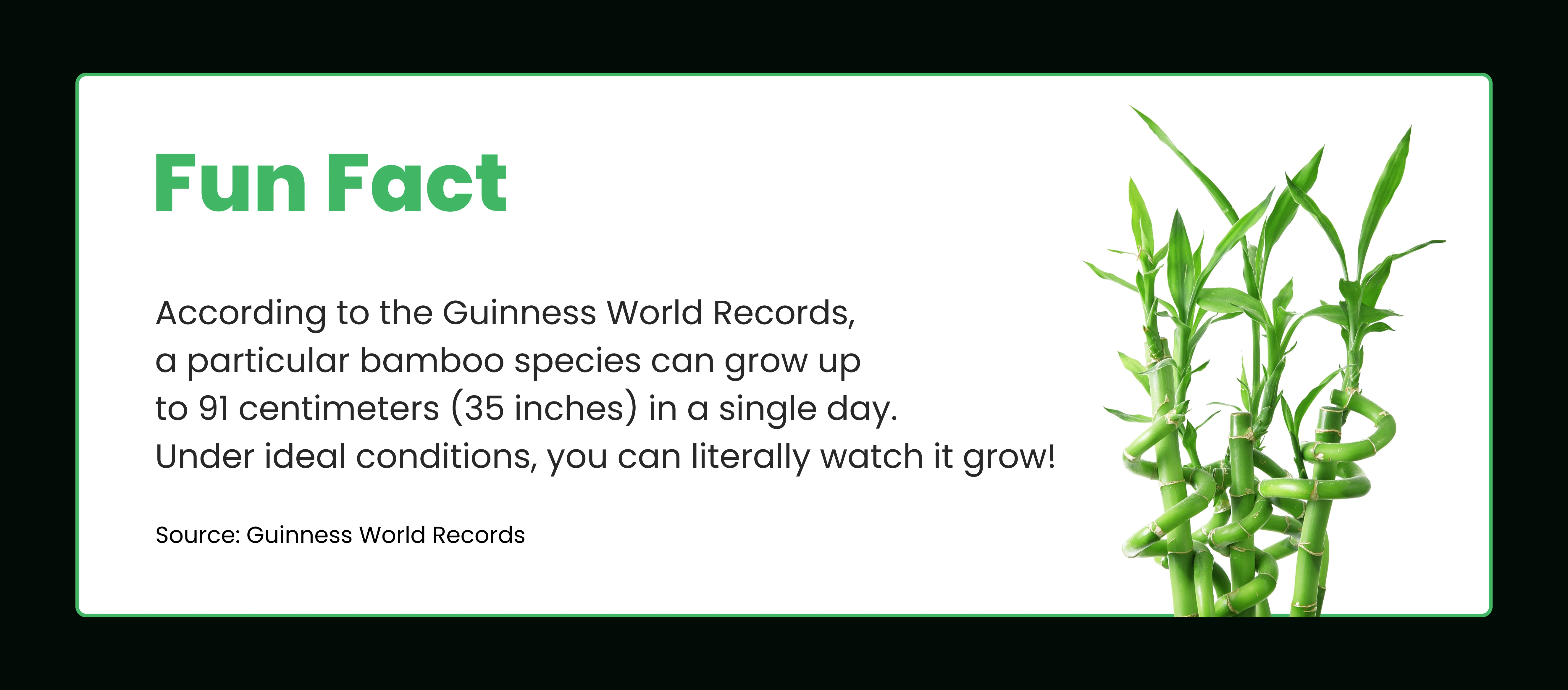 Fun Fact