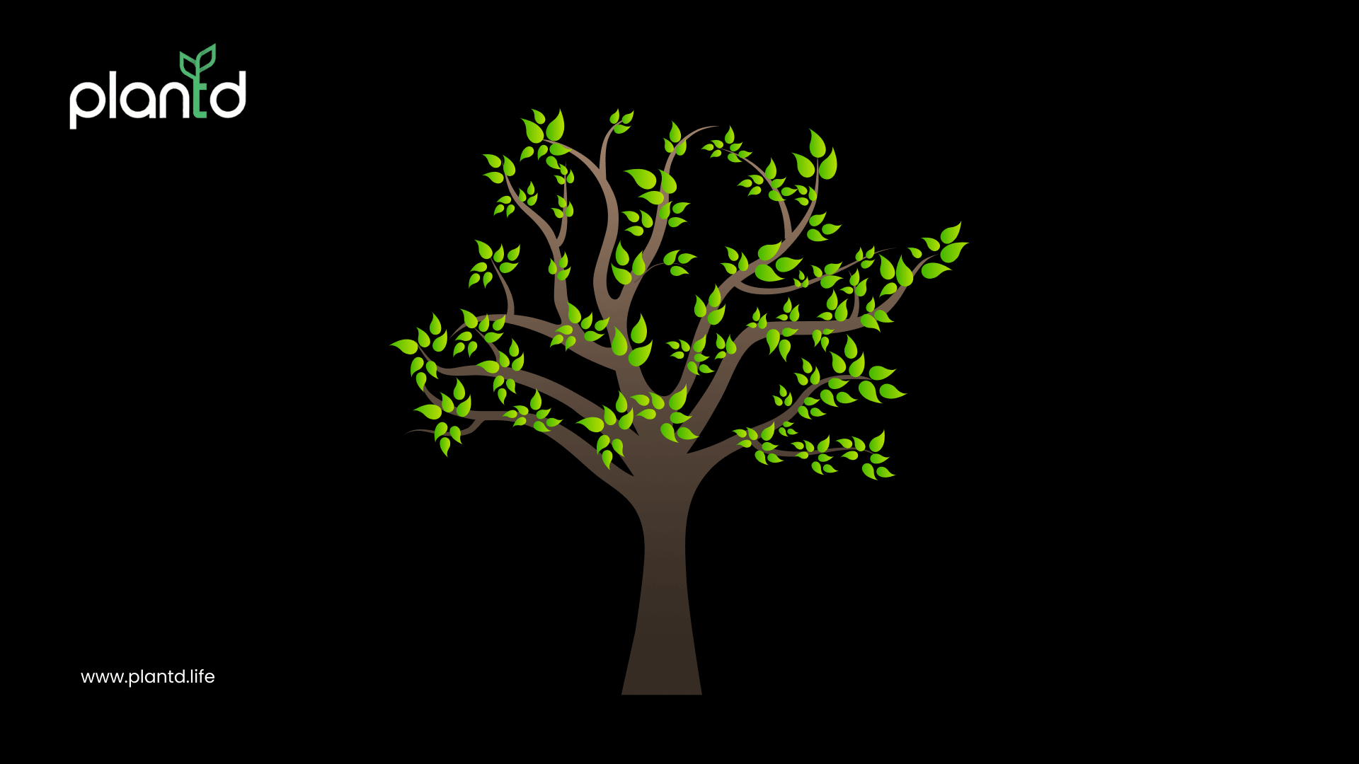 Young Tree: The Growth Years