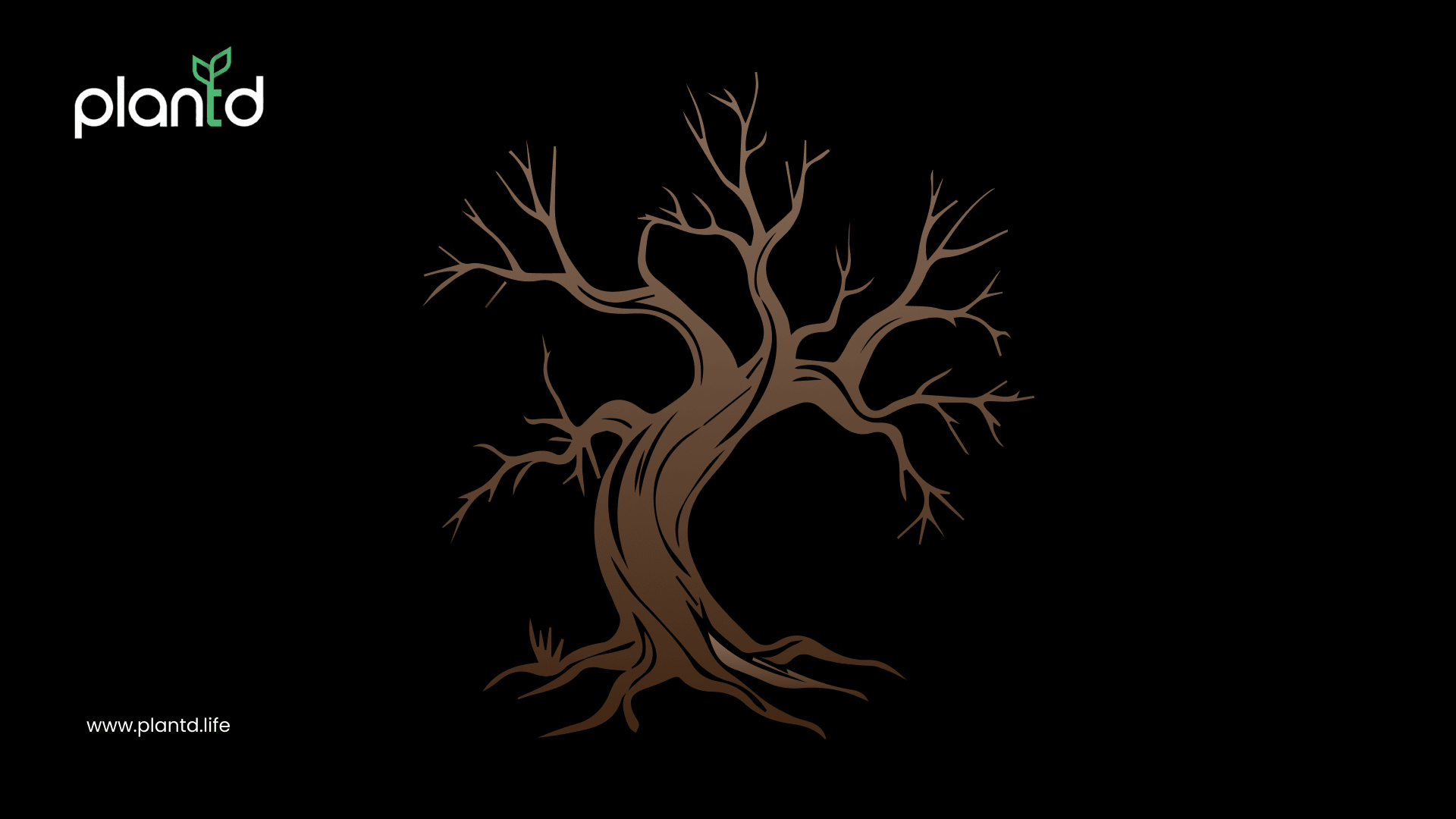 Decay and Renewal: The Cycle Comes Full Circle