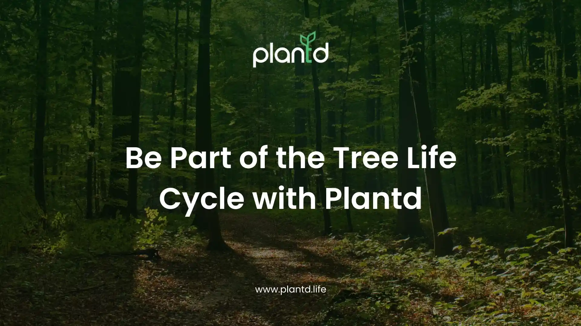 Be Part of the Tree Life Cycle with Plantd