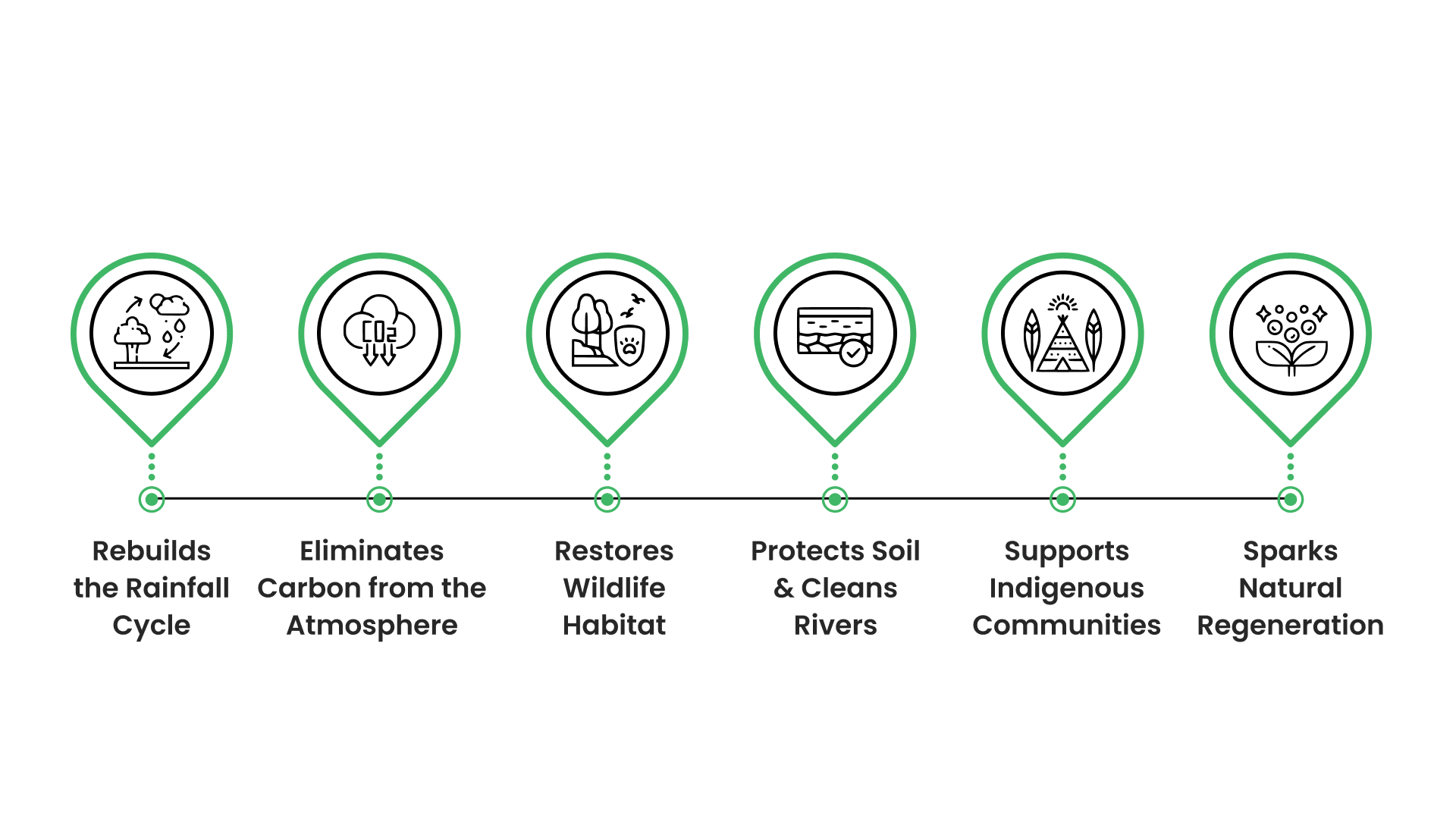 Why Planting Trees in the Rainforest Helps the Planet