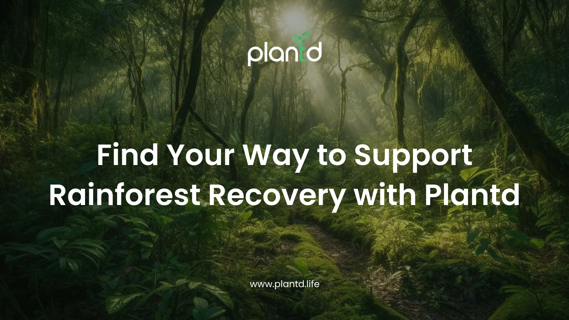 Find Your Way to Support Rainforest Recovery with Plantd