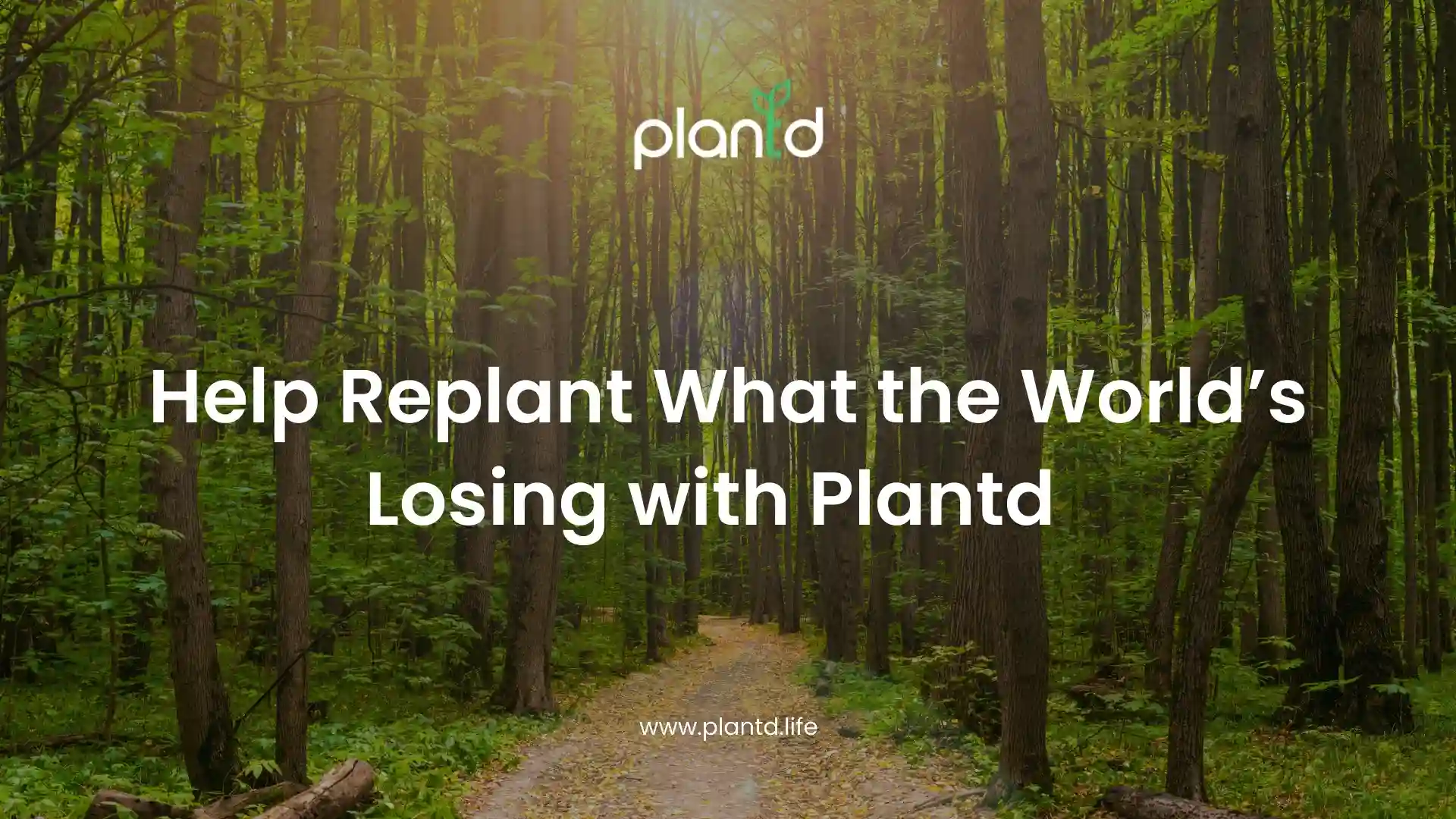 Help Replant What the World’s Losing with Plantd