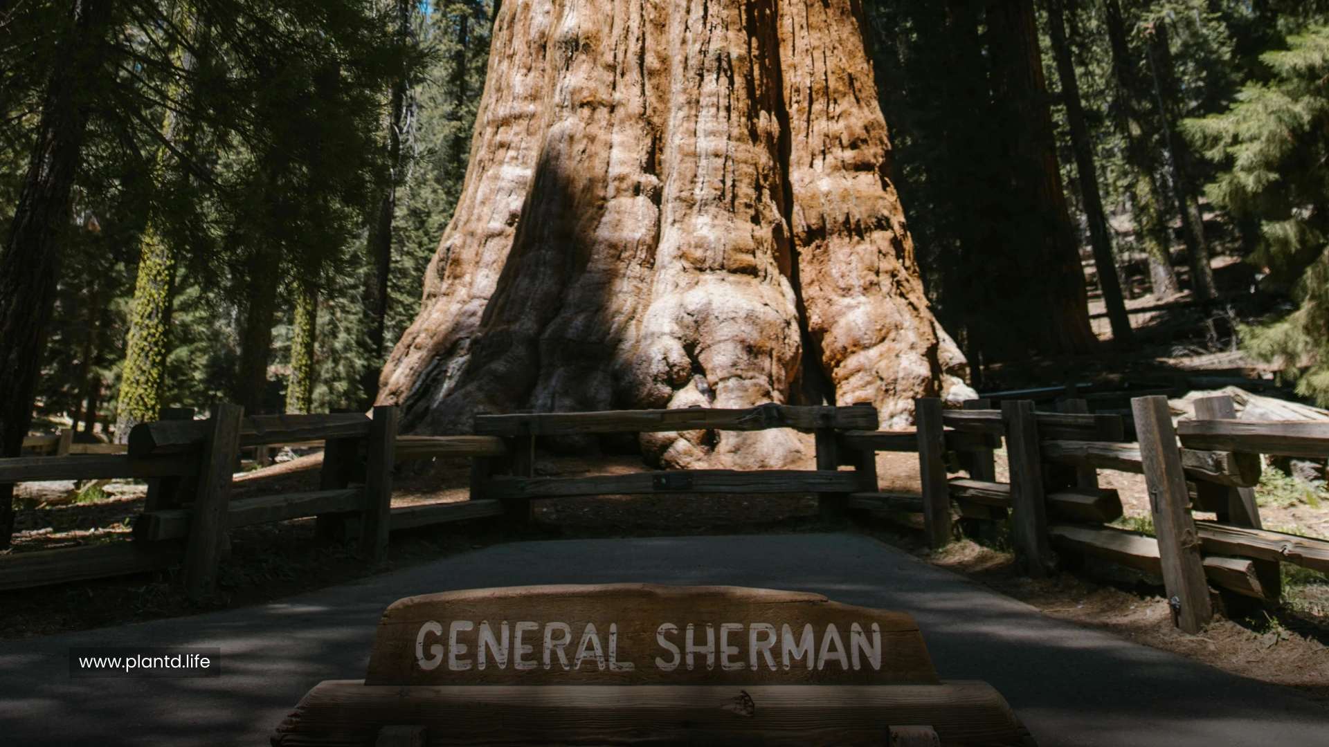 General Sherman