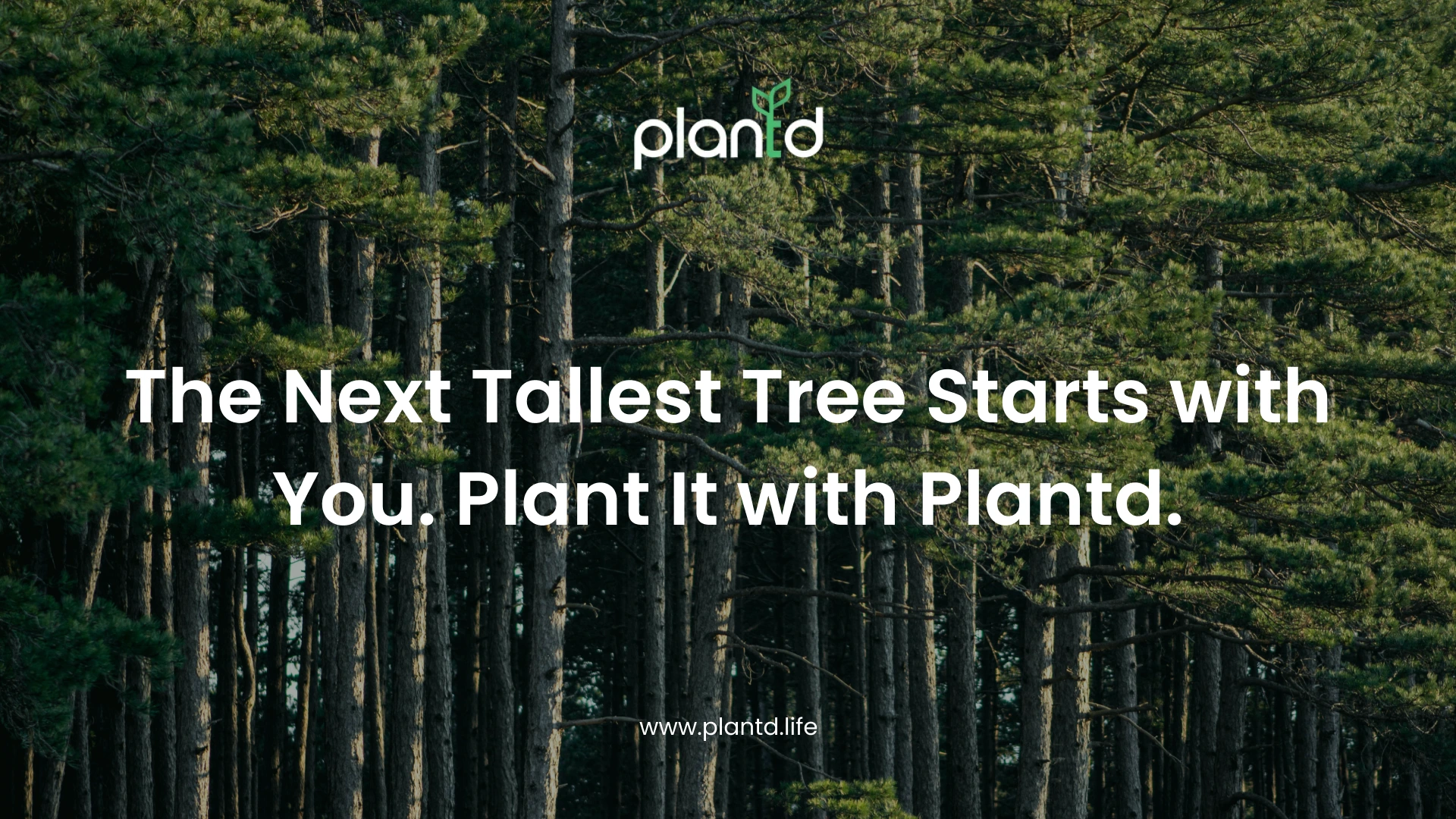 The Next Tallest Tree Starts with You. Plant It with Plantd.