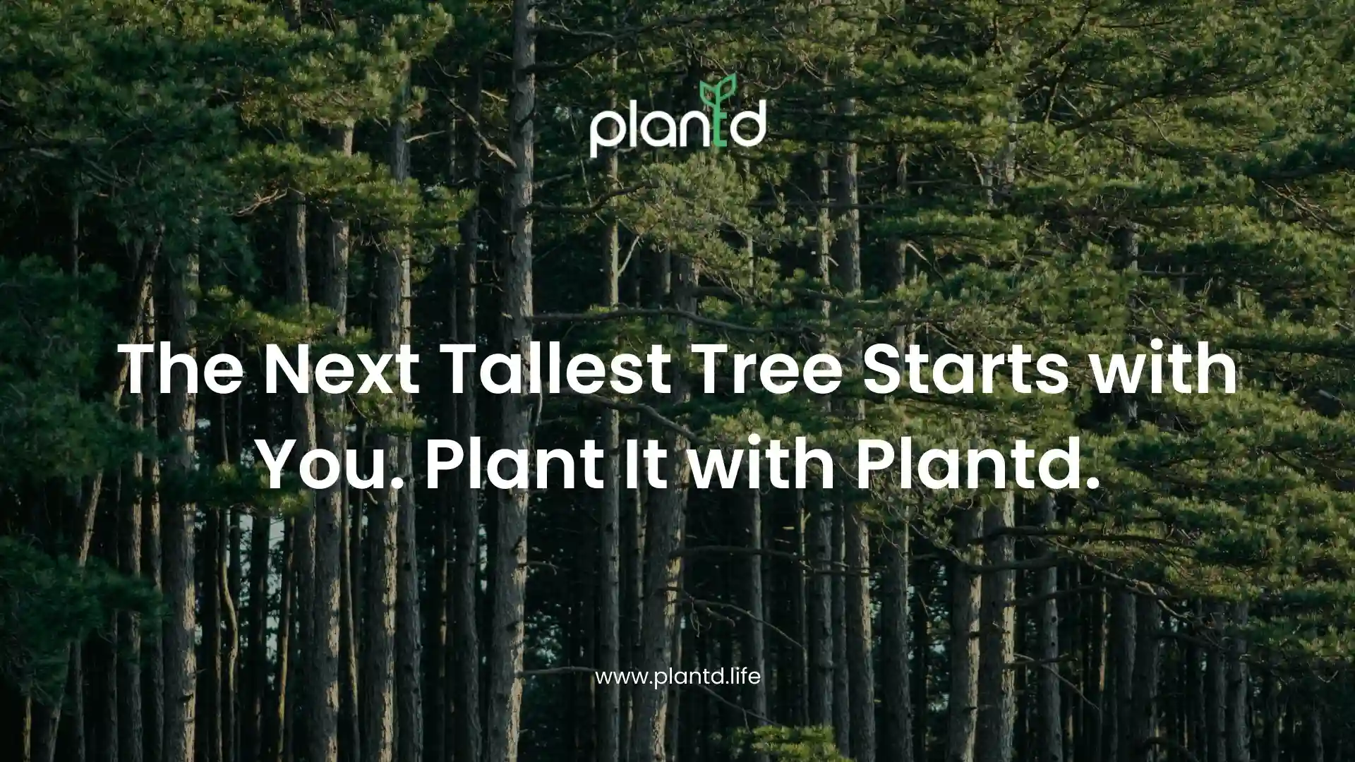 The Next Tallest Tree Starts with You. Plant It with Plantd.