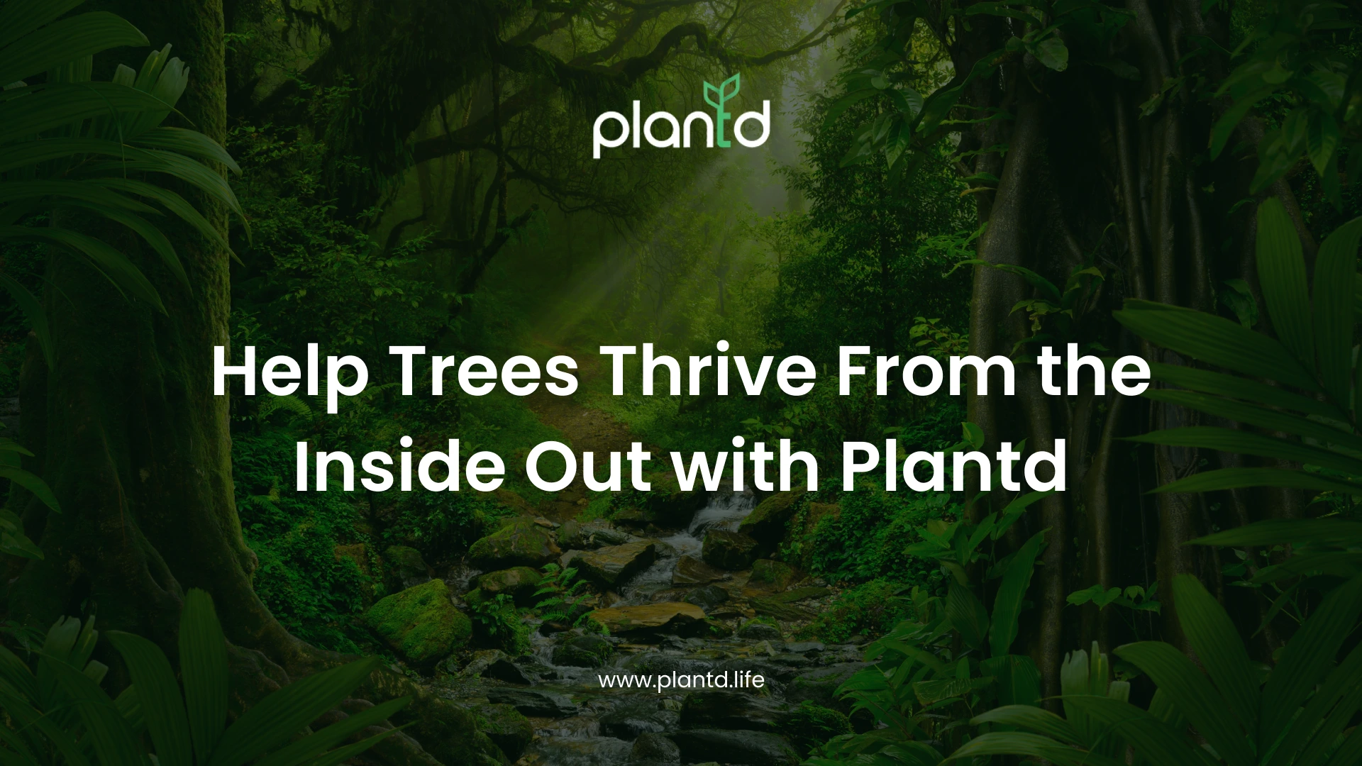 Help Trees Thrive From the Inside Out with Plantd