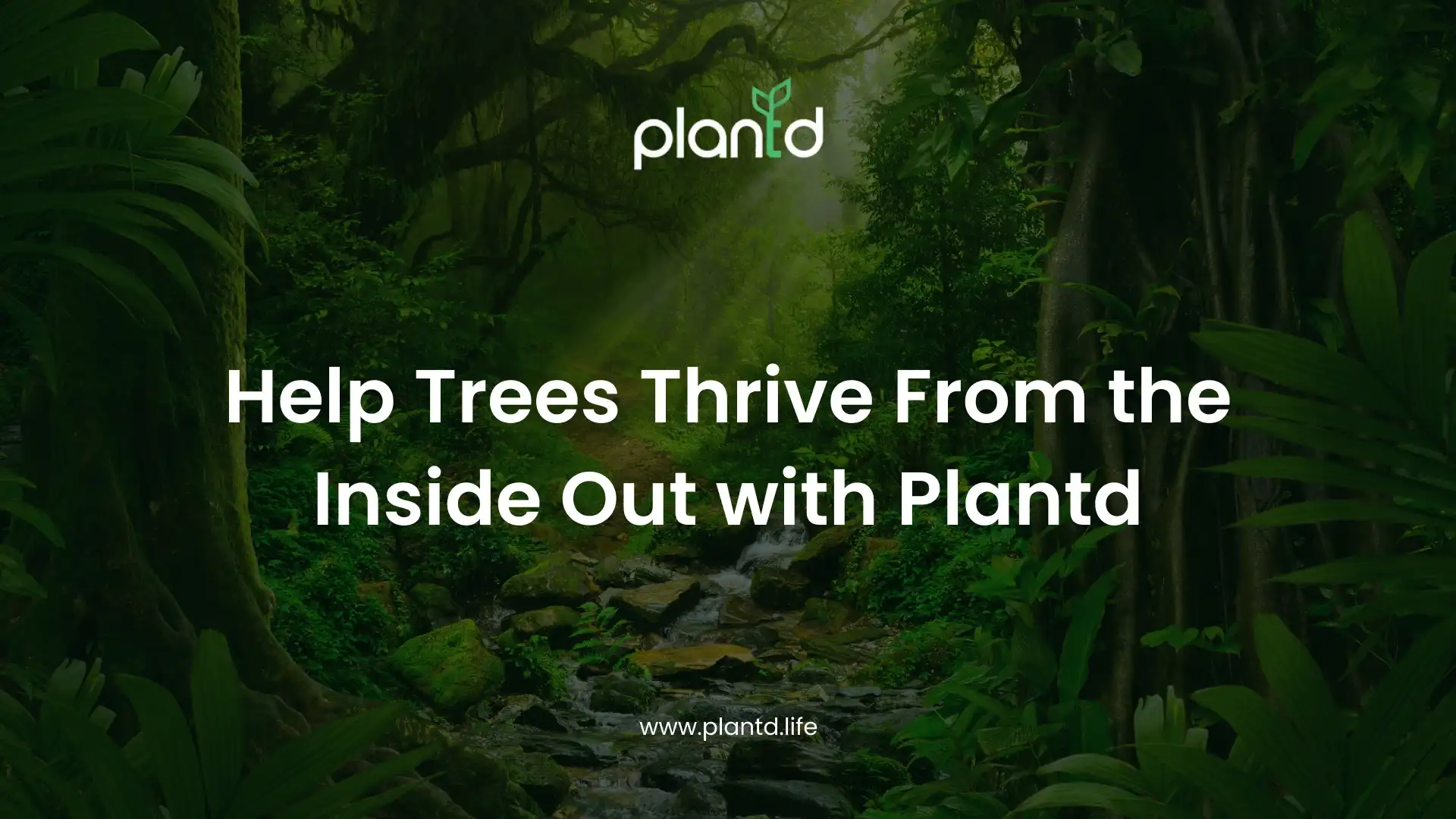 Help Trees Thrive From the Inside Out with Plantd
