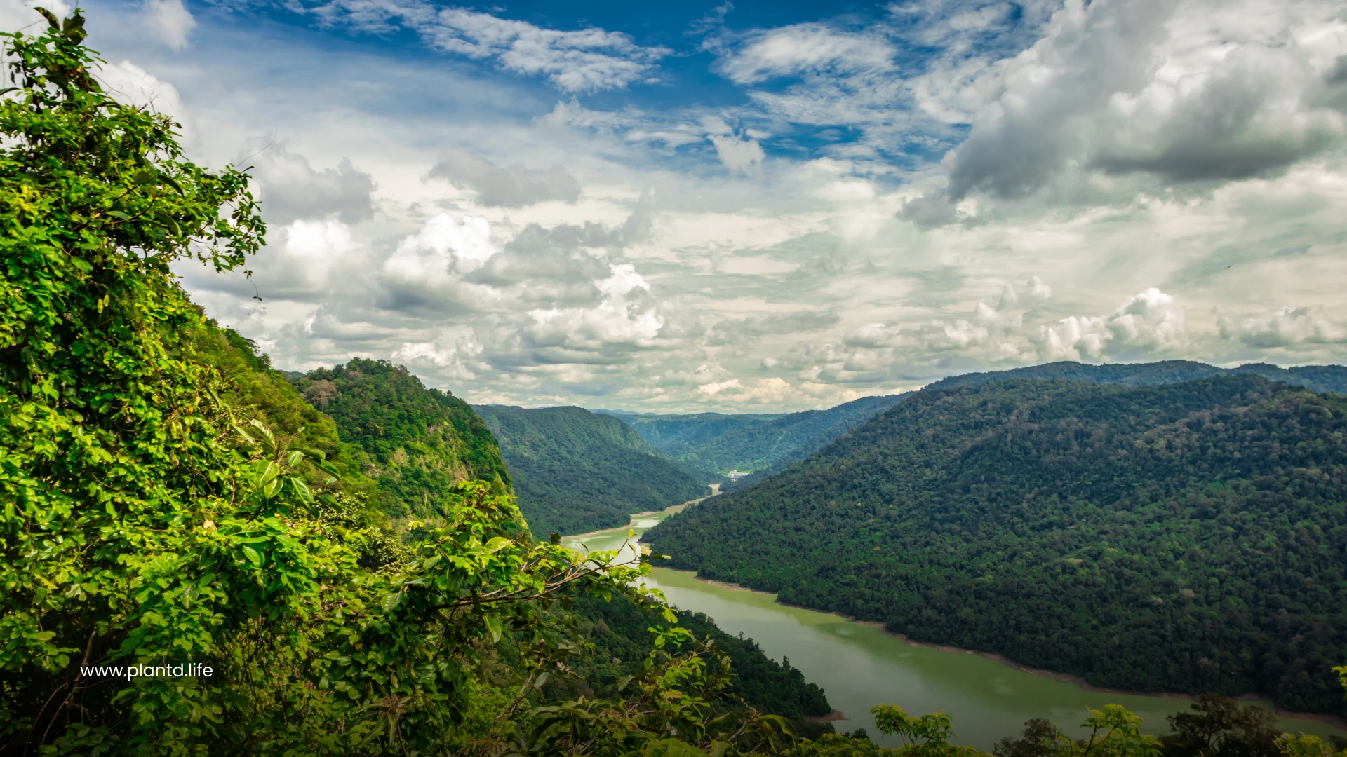 Western Ghats and Sri Lanka (South Asia)