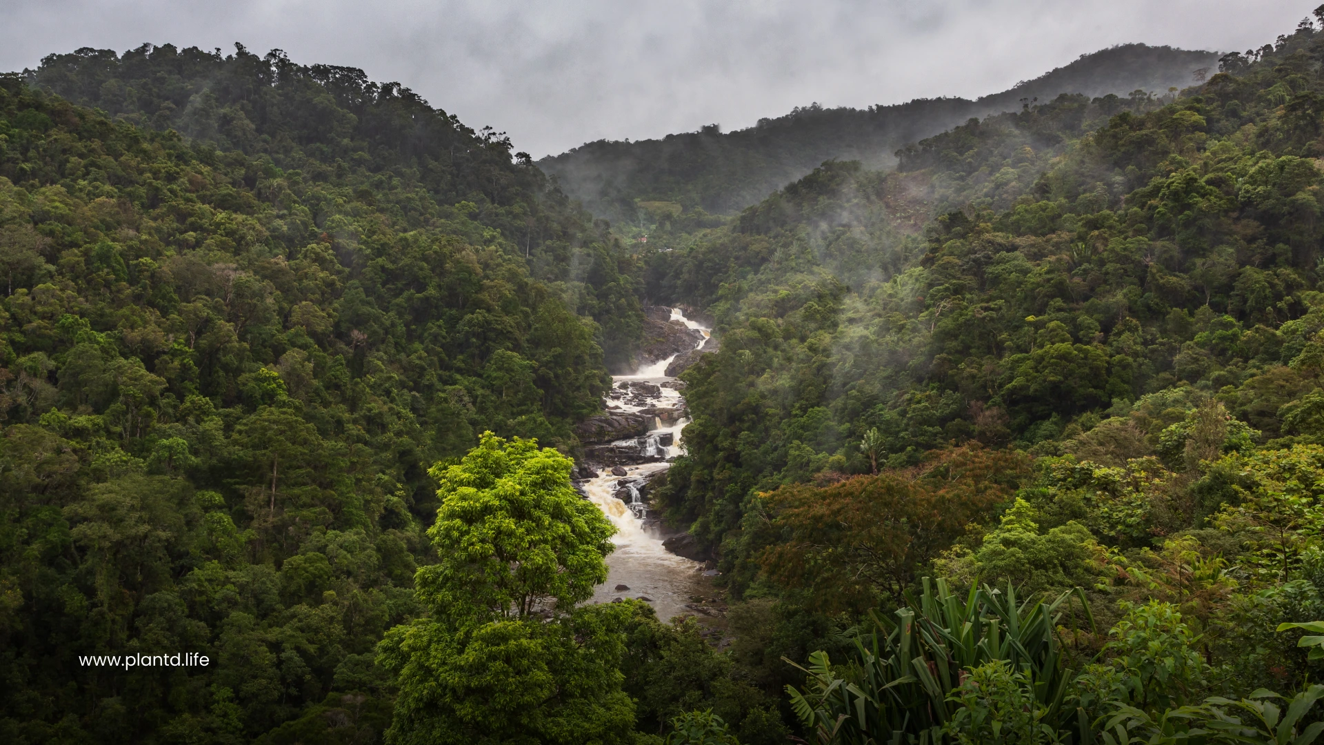 Madagascar and the Indian Ocean Islands