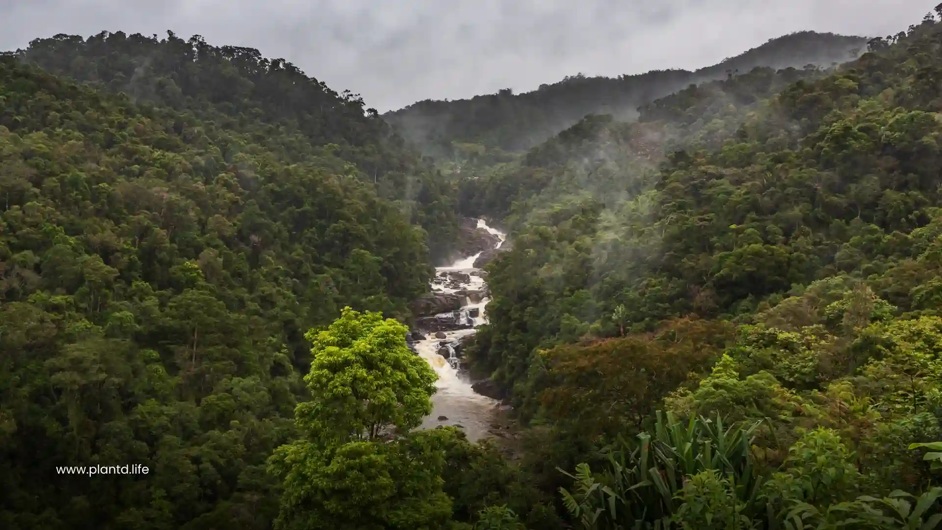 Madagascar and the Indian Ocean Islands