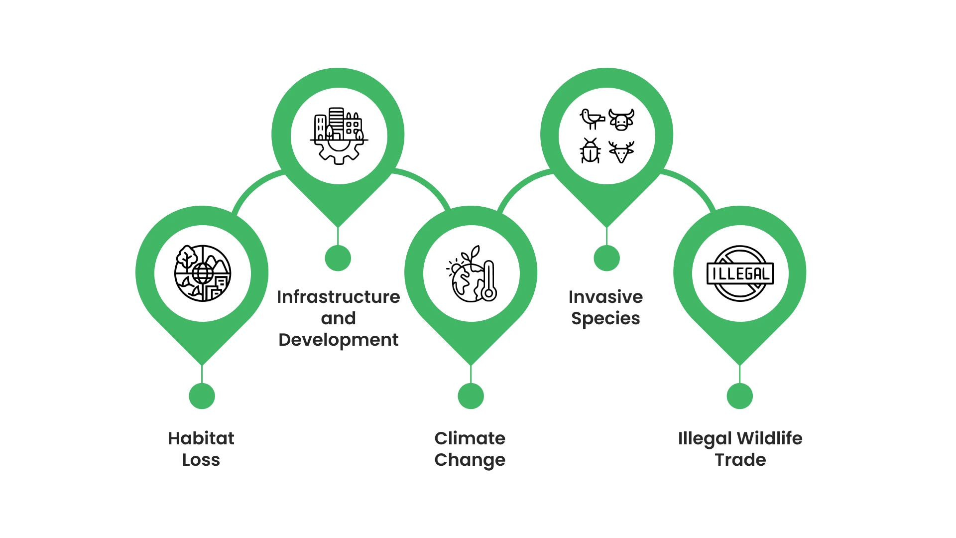 Common Threats Affecting These Fragile Ecosystems