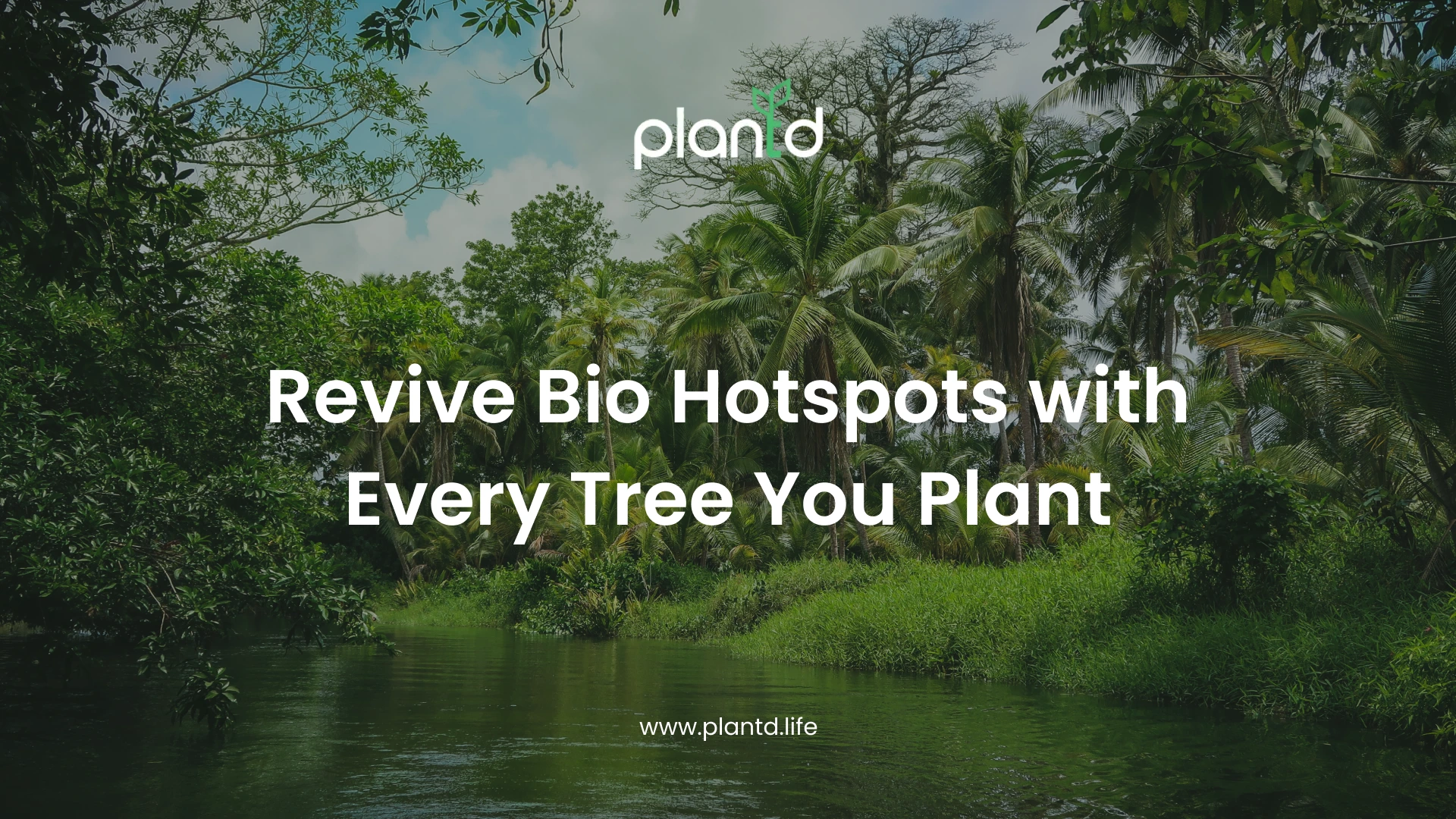 Revive Bio Hotspots with Every Tree You Plant