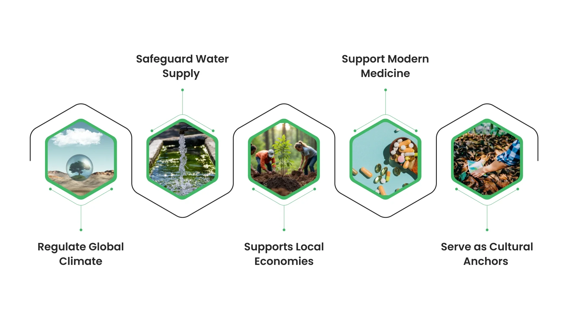 Why These Biodiversity Hotspots Matter