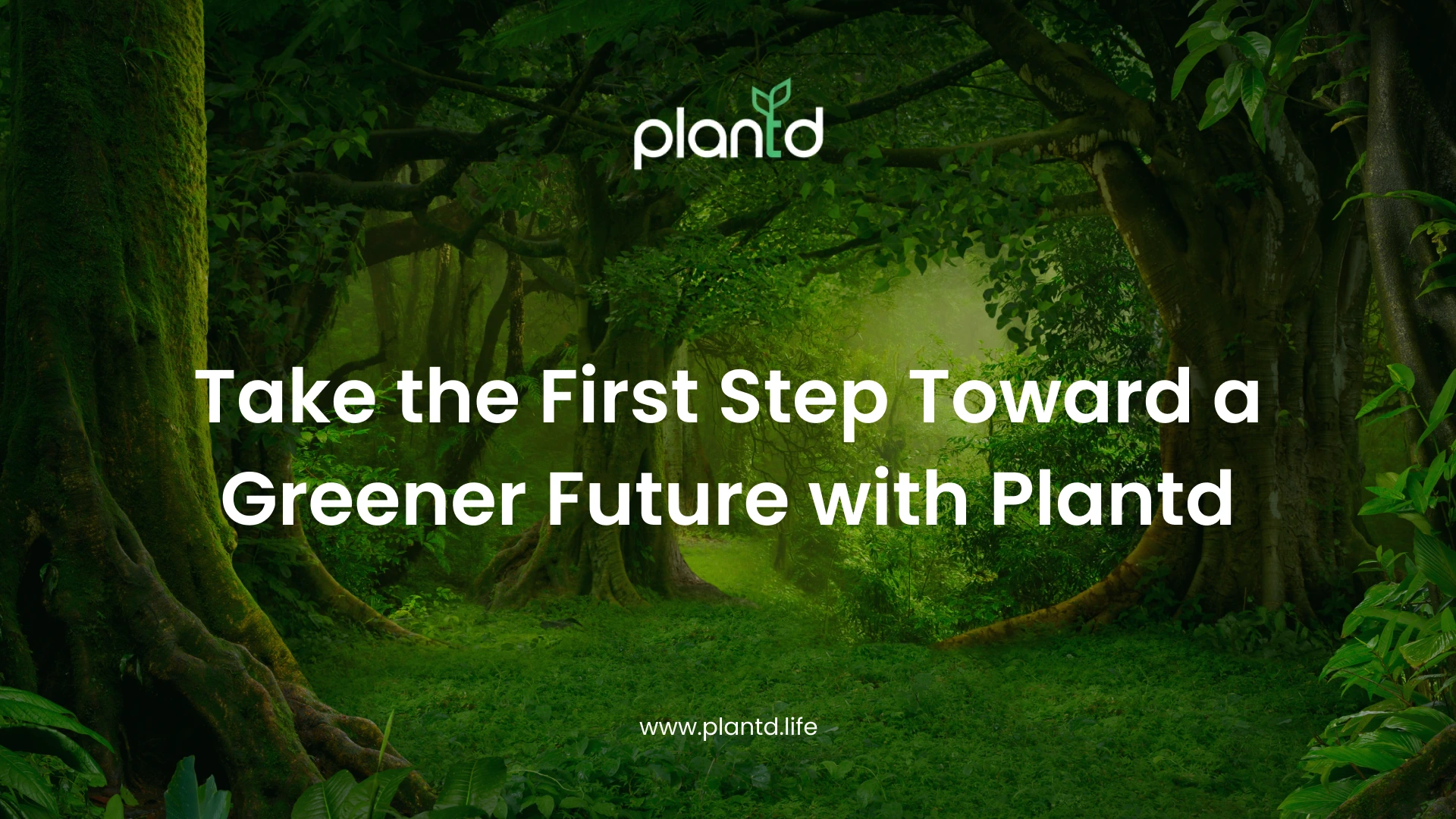 Take the First Step Toward a Greener Future with Plantd