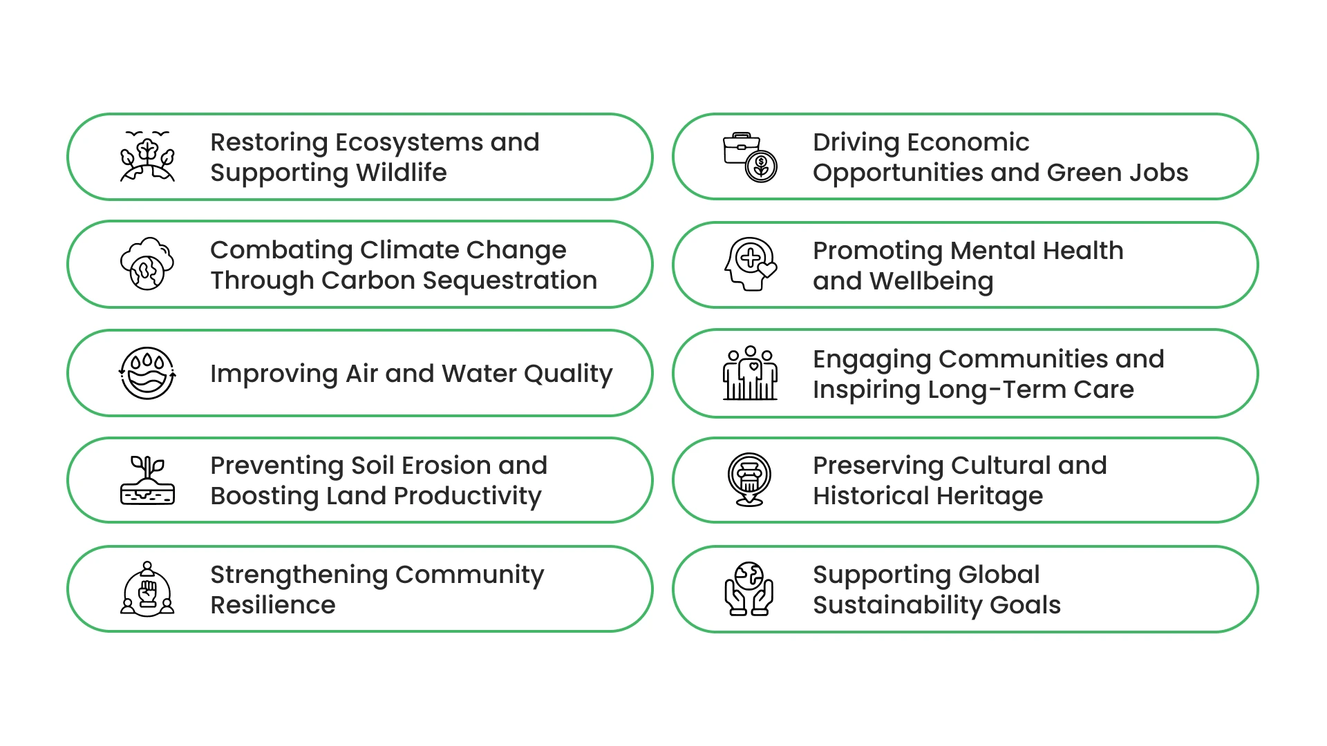 10 Benefits of Tree Planting Programs