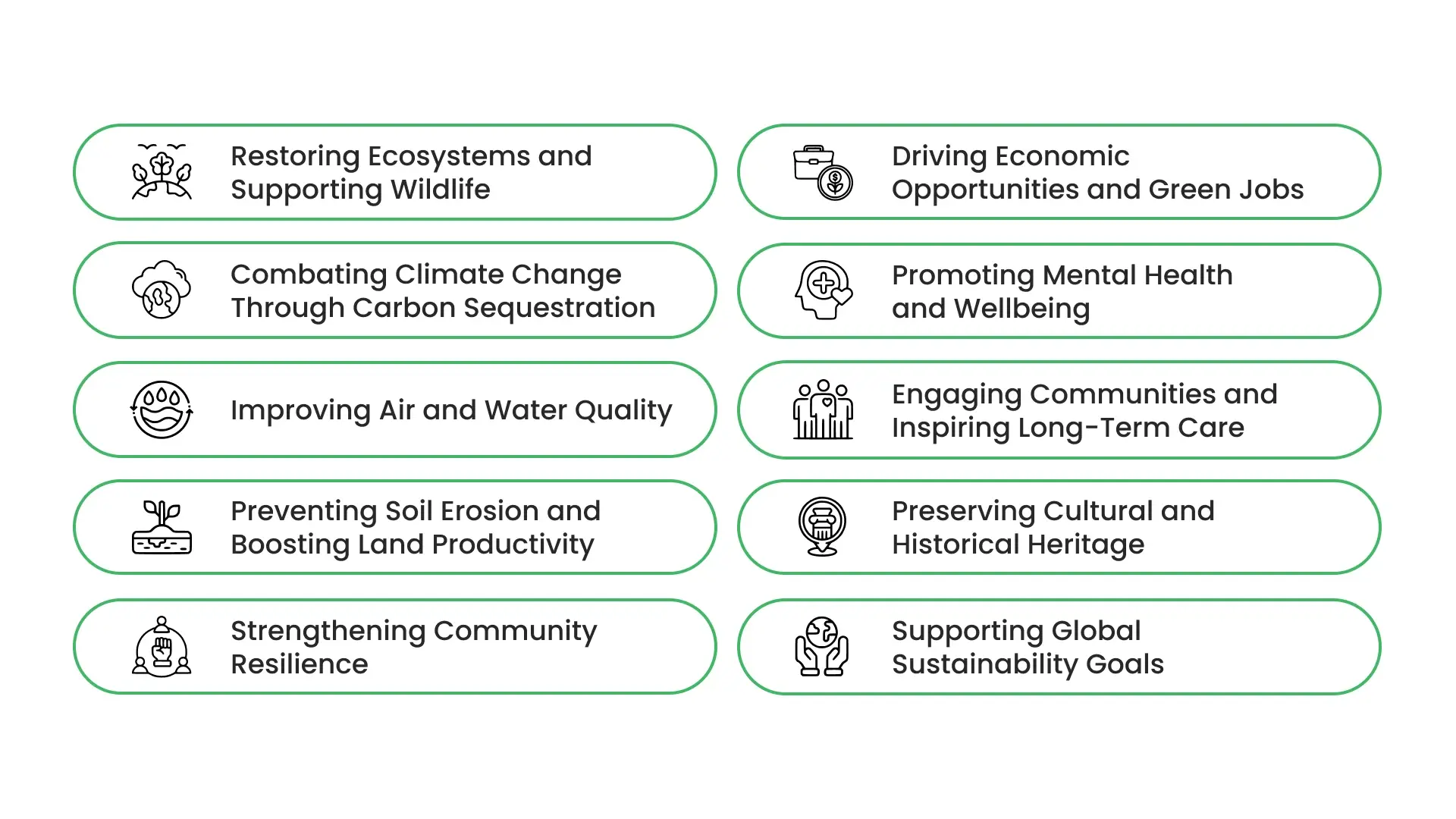 10 Benefits of Tree Planting Programs