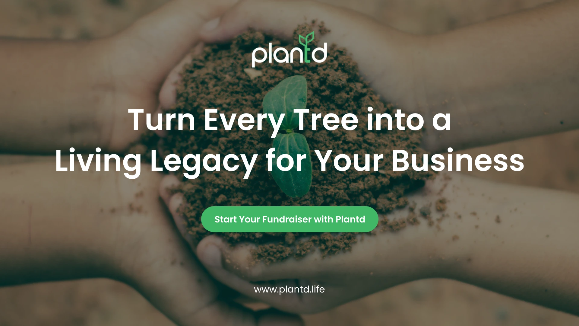 Turn Every Tree into a Living Legacy for Your Business