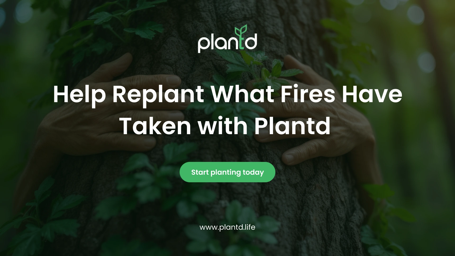 Help Replant What Fires Have Taken with Plantd
