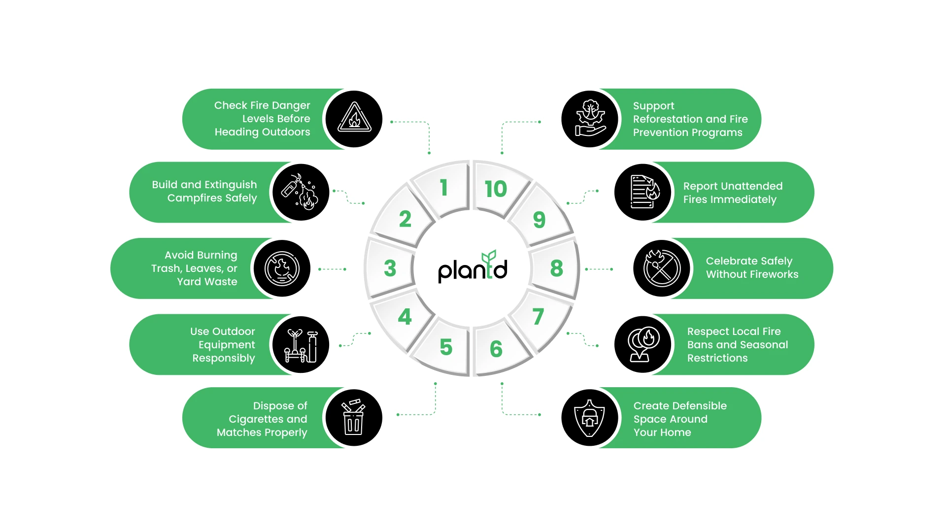 10 Simple Habits to Prevent Forest Fires Before They Start