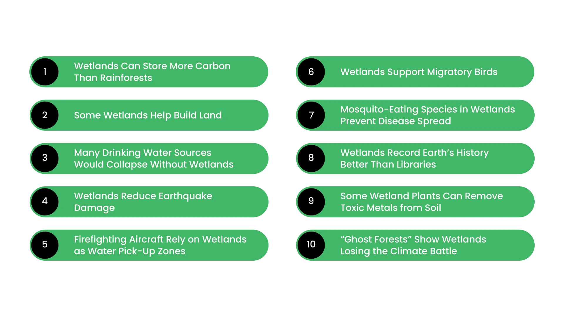 10 Little-Known Wetland Facts That Actually Matter