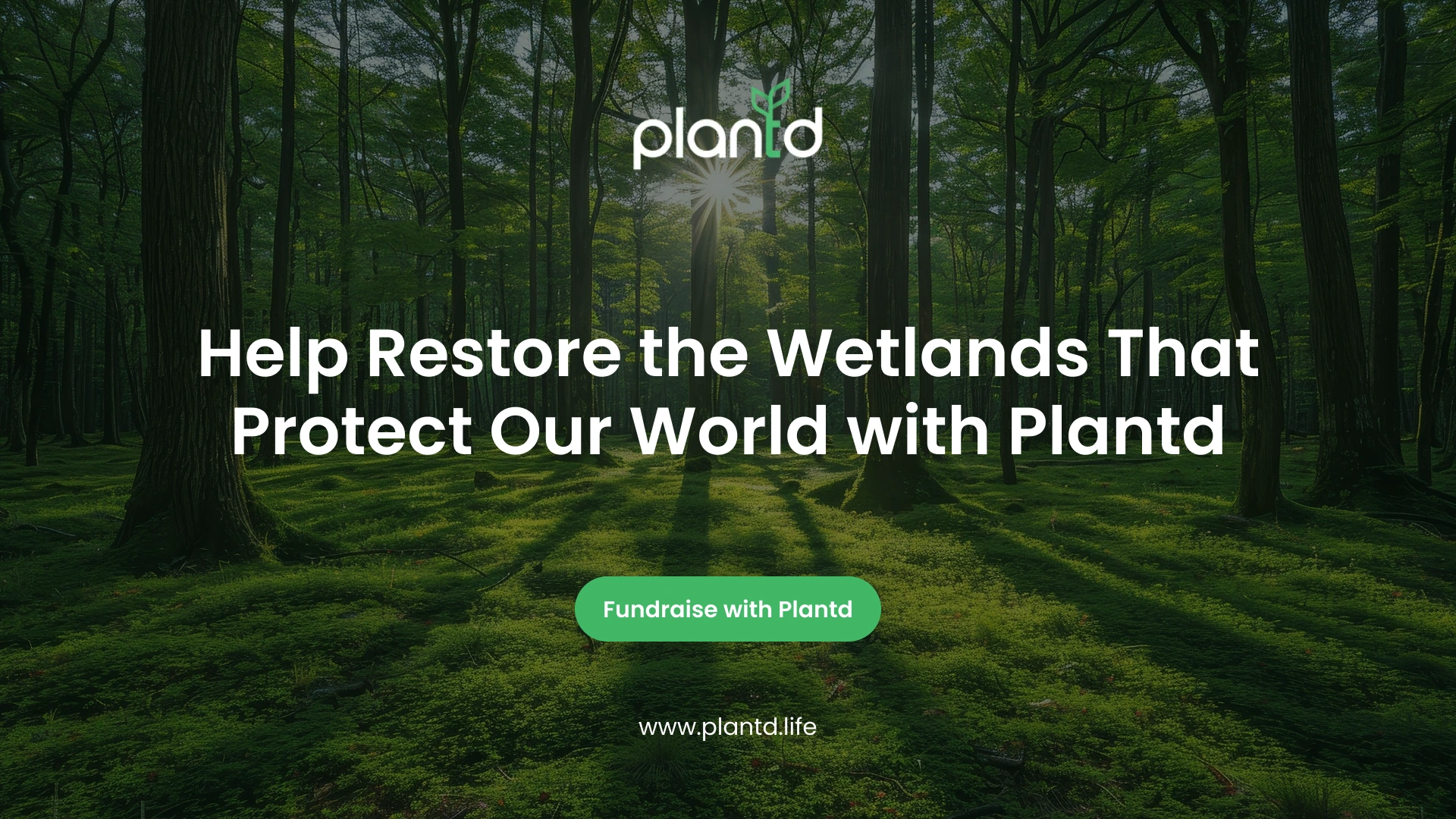 Help Restore the Wetlands That Protect Our World with Plantd 