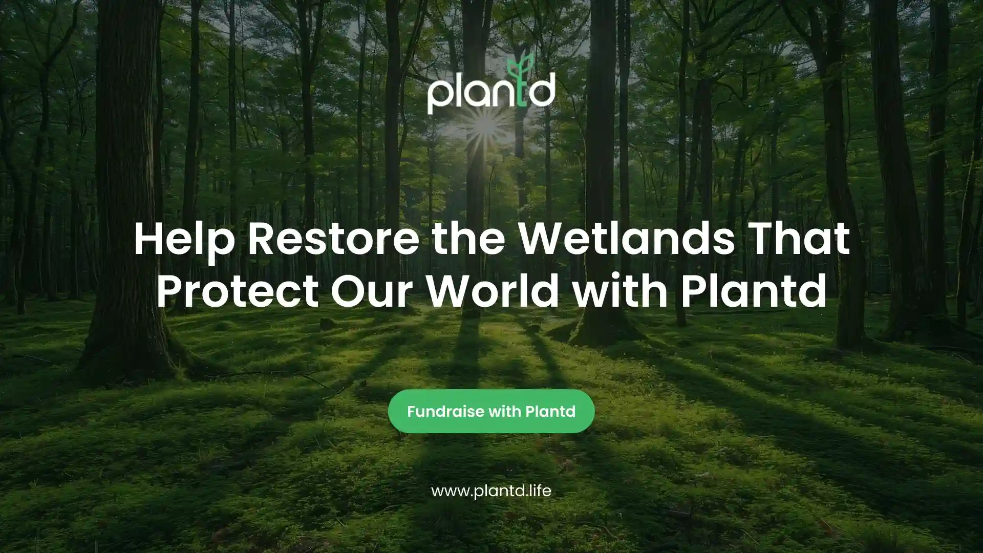Help Restore the Wetlands That Protect Our World with Plantd