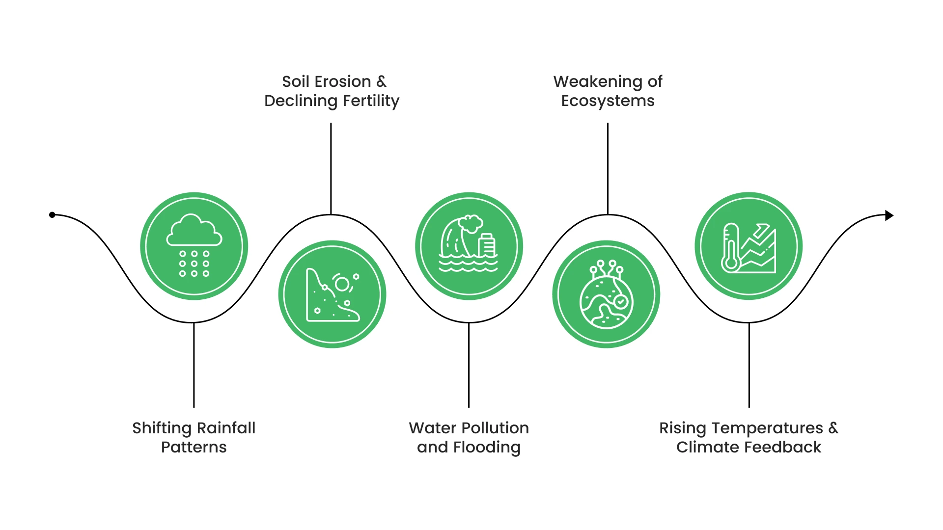 Environmental Effects of Deforestation