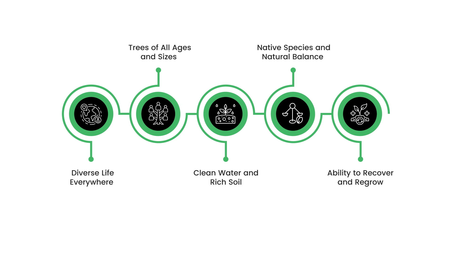 5 Crucial Signs of a Healthy Forest
