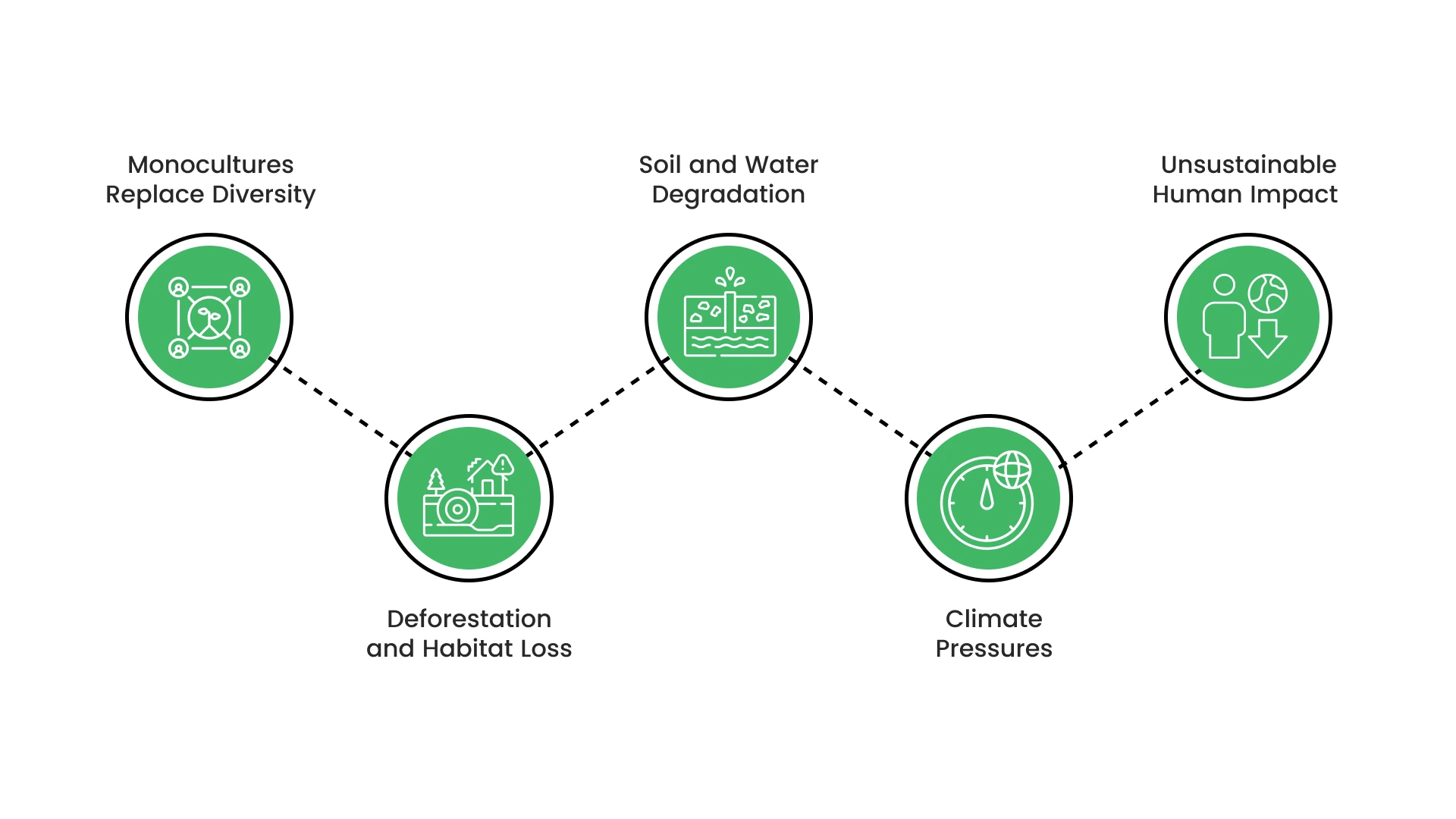 Common Threats to Forest Health