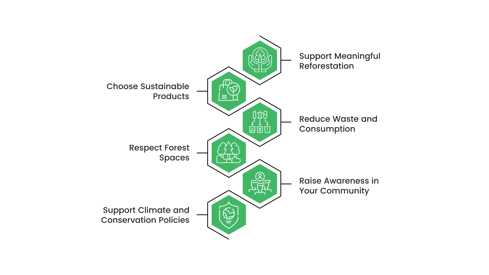 How You Can Help Support Healthy Forests