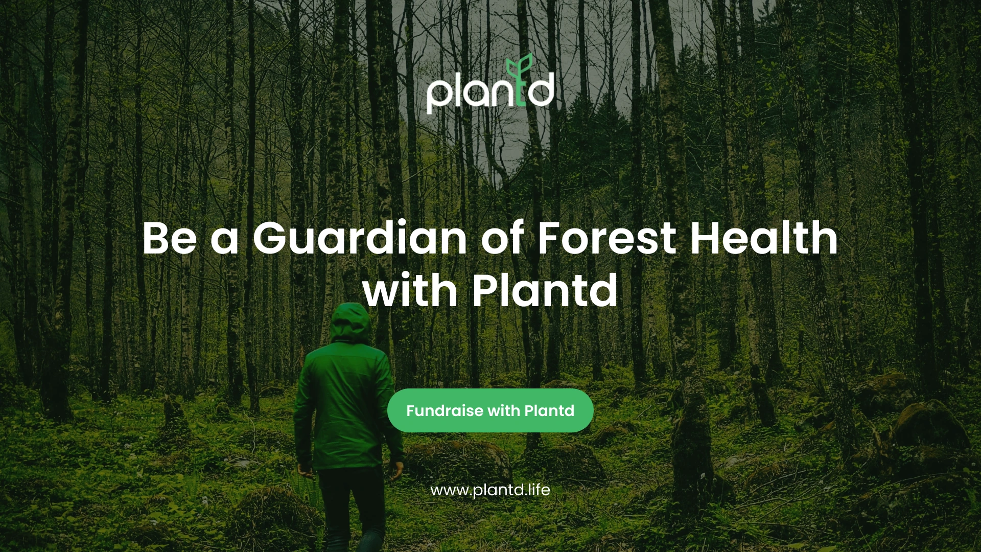 Be a Guardian of Forest Health with Plantd