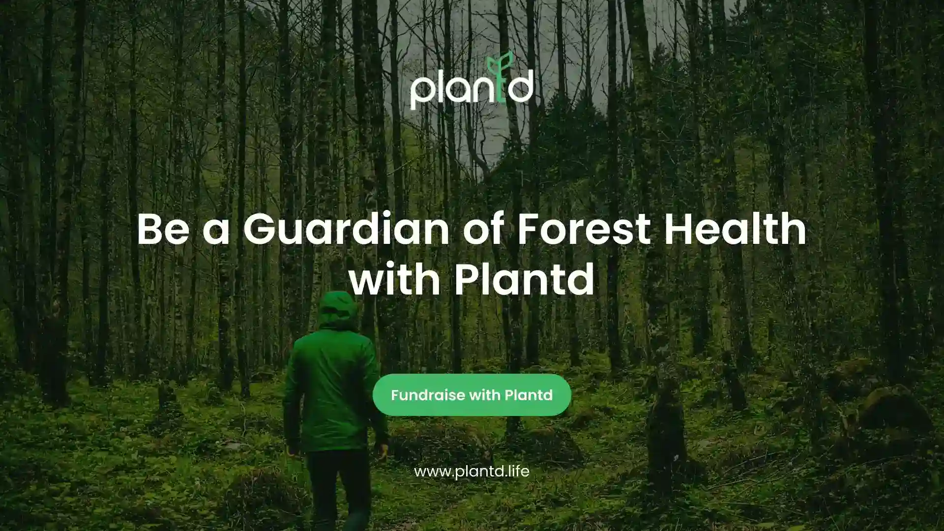 Be a Guardian of Forest Health with Plantd