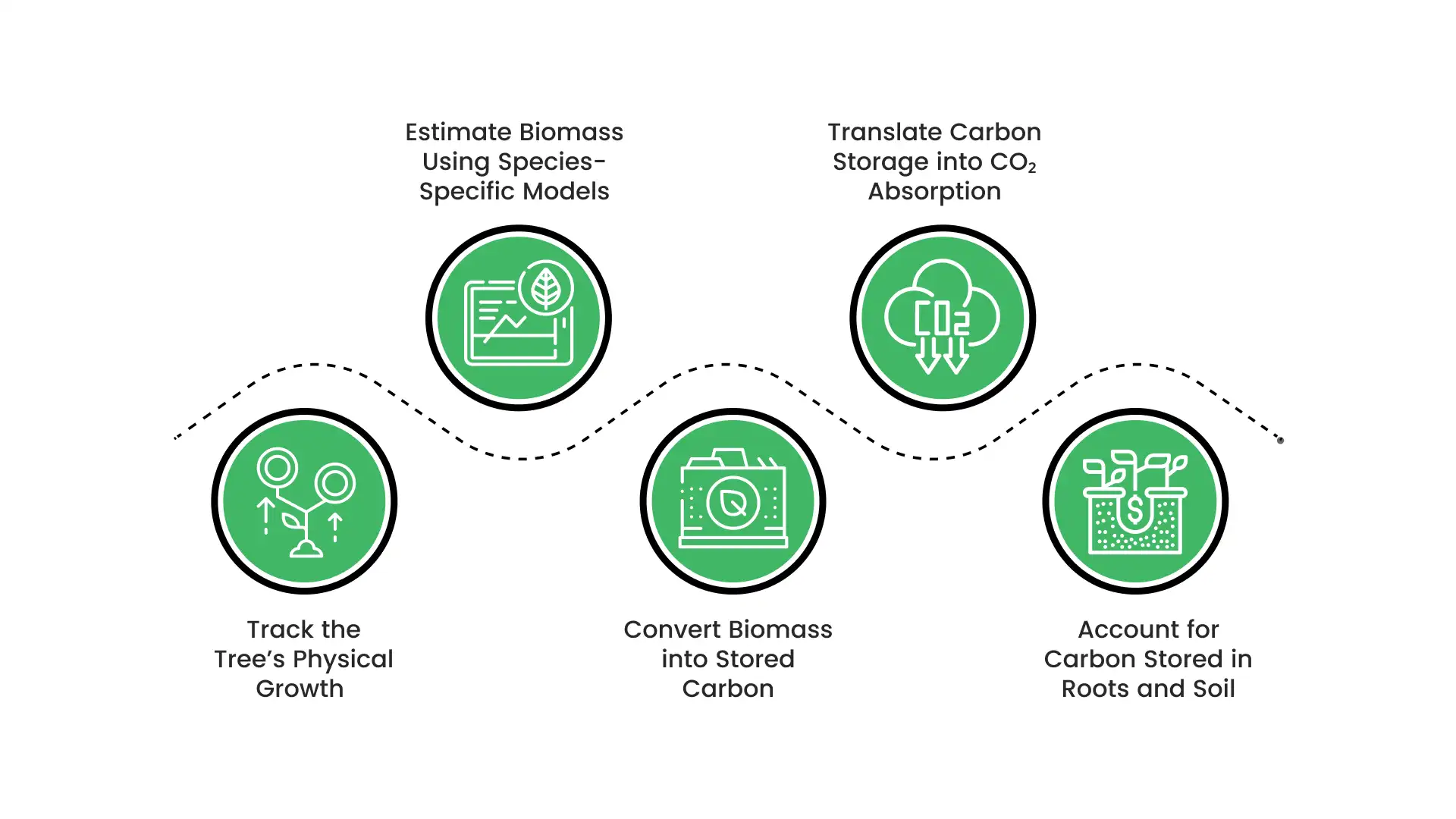 How to Measure CO₂ Absorption Over Time