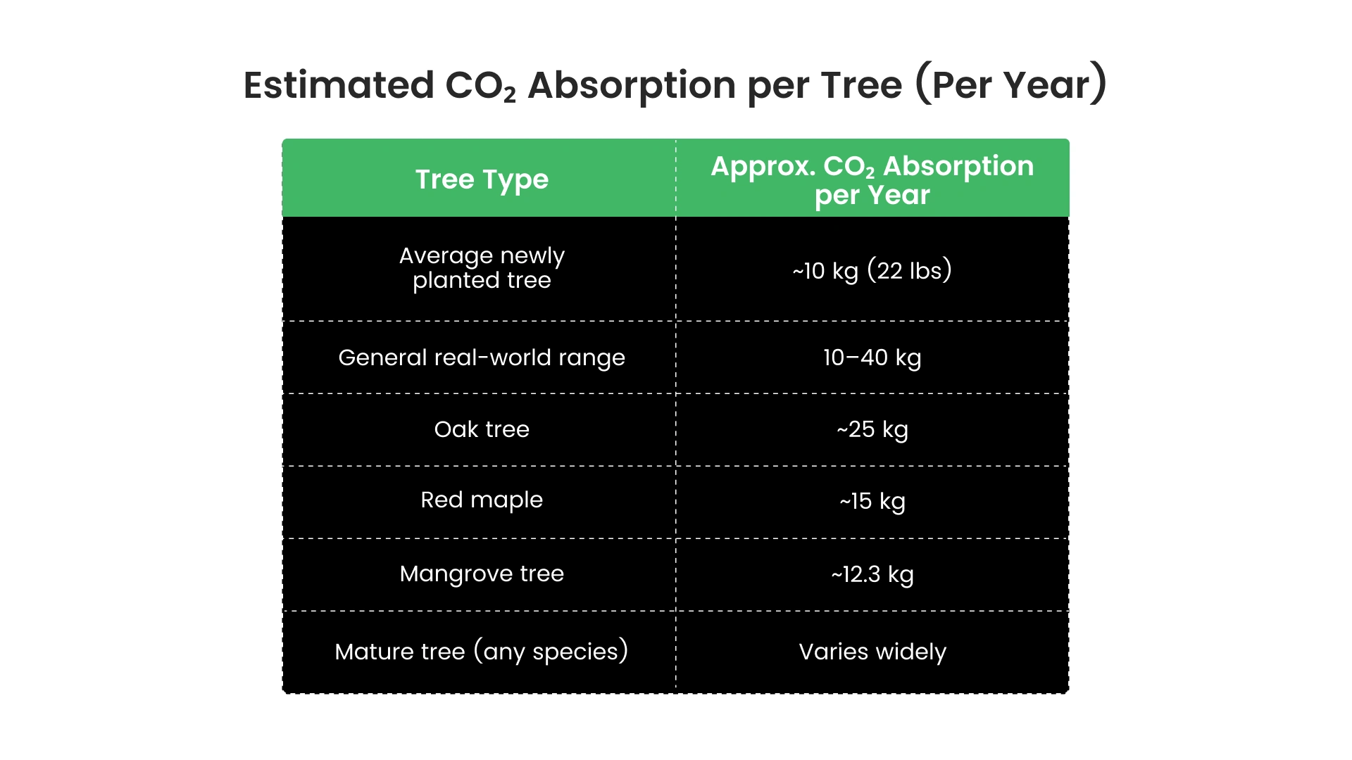 How Much CO₂ Does One Tree Actually Absorb?
