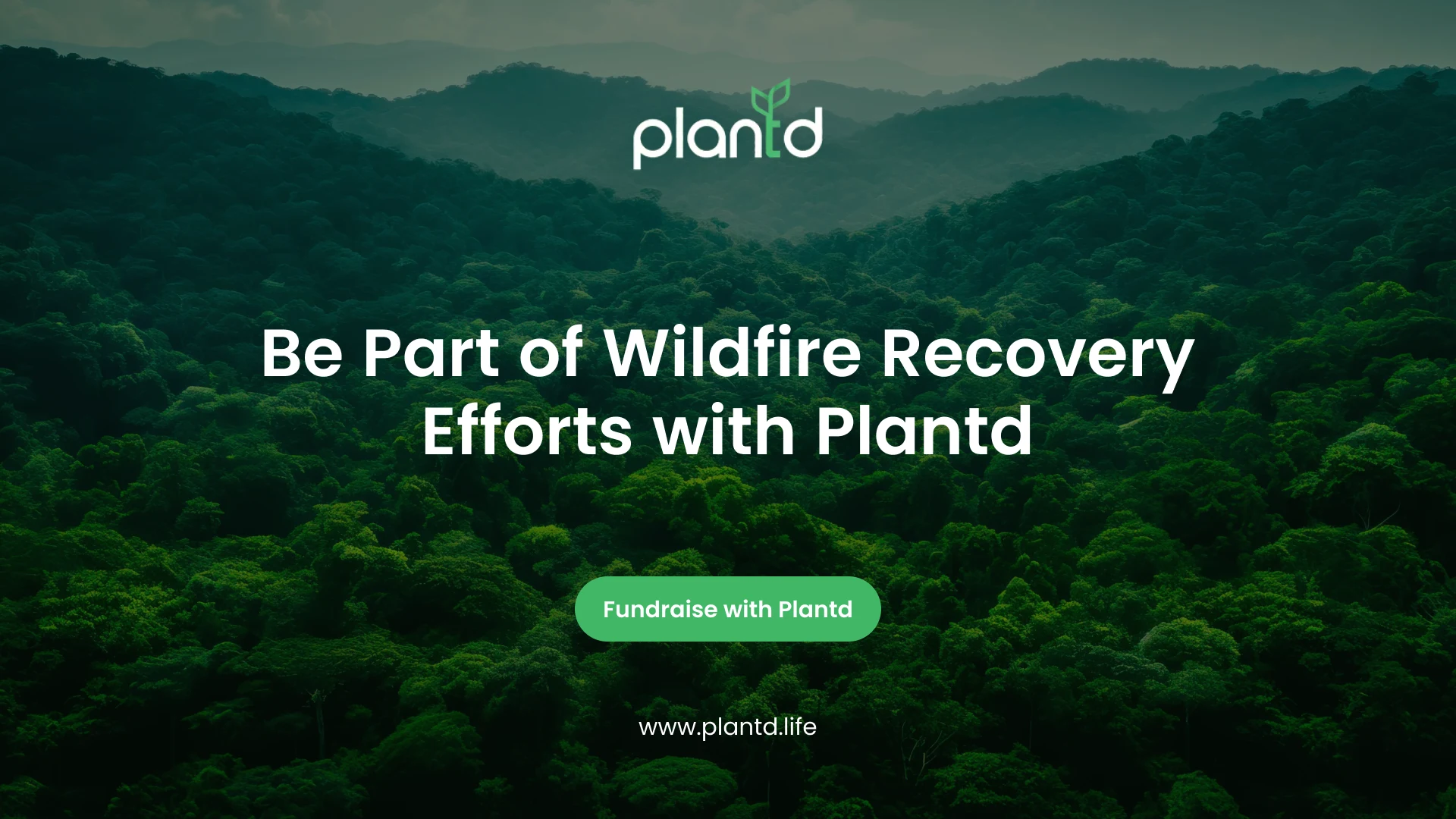 Be Part of Wildfire Recovery Efforts with Plantd 