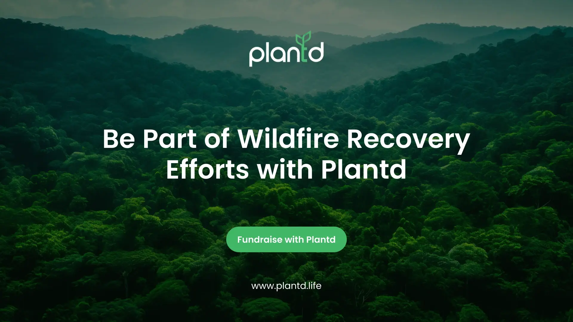 Be Part of Wildfire Recovery Efforts with Plantd 