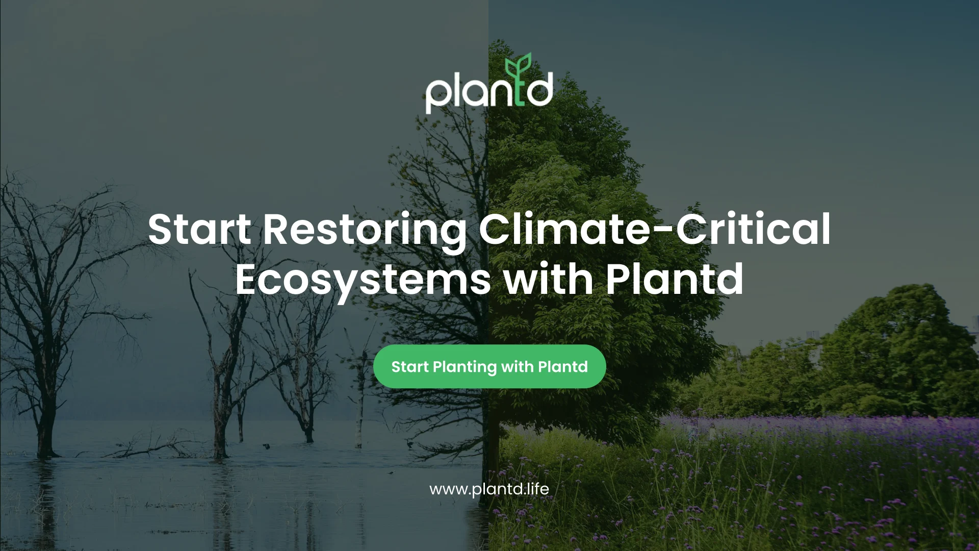 Start Restoring Climate-Critical Ecosystems with Plantd