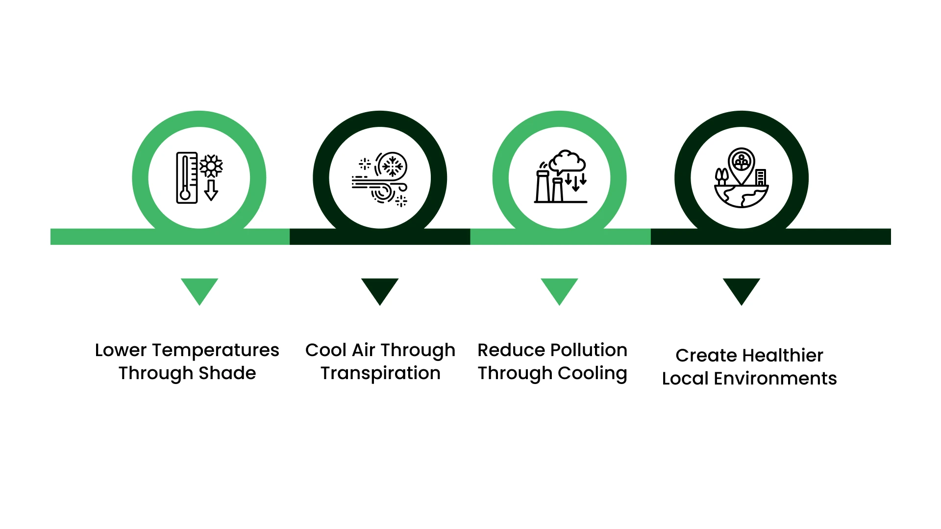 Indirect Air-Cleaning Mechanisms of Trees