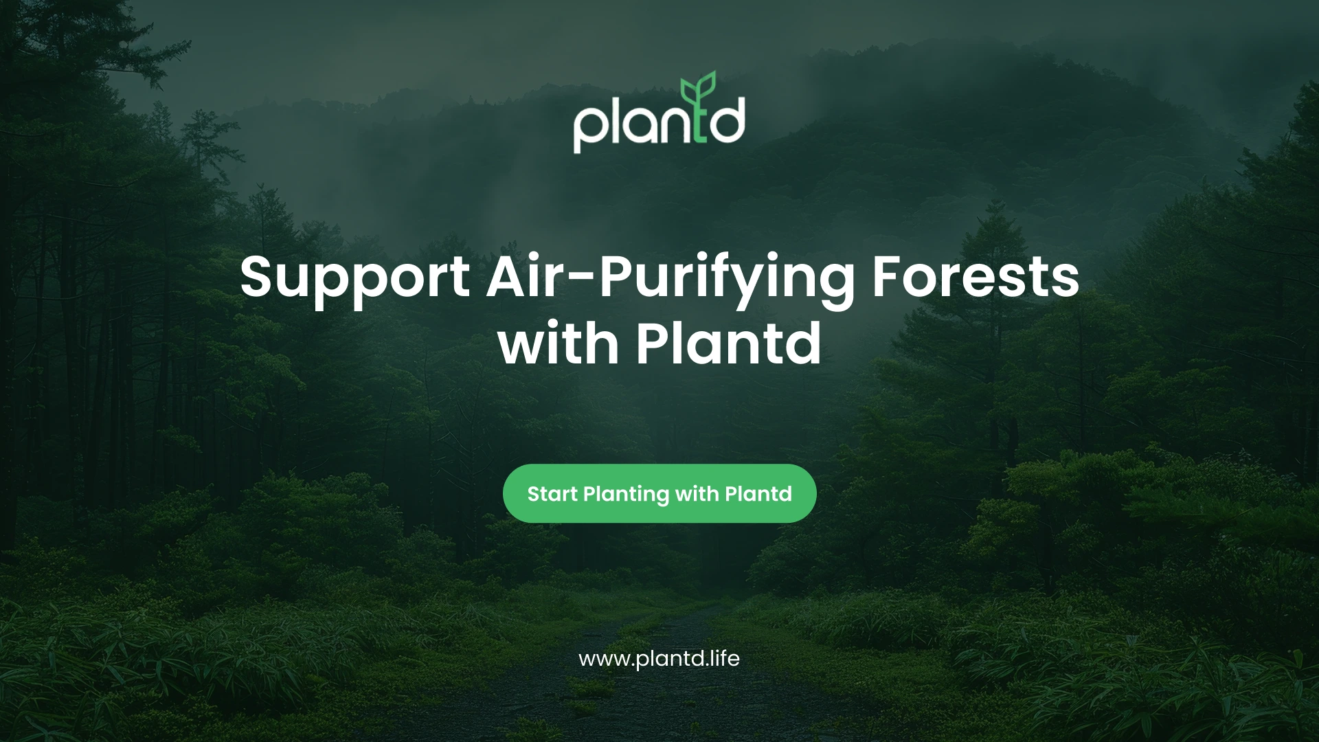 Support Air-Purifying Forests with Plantd 