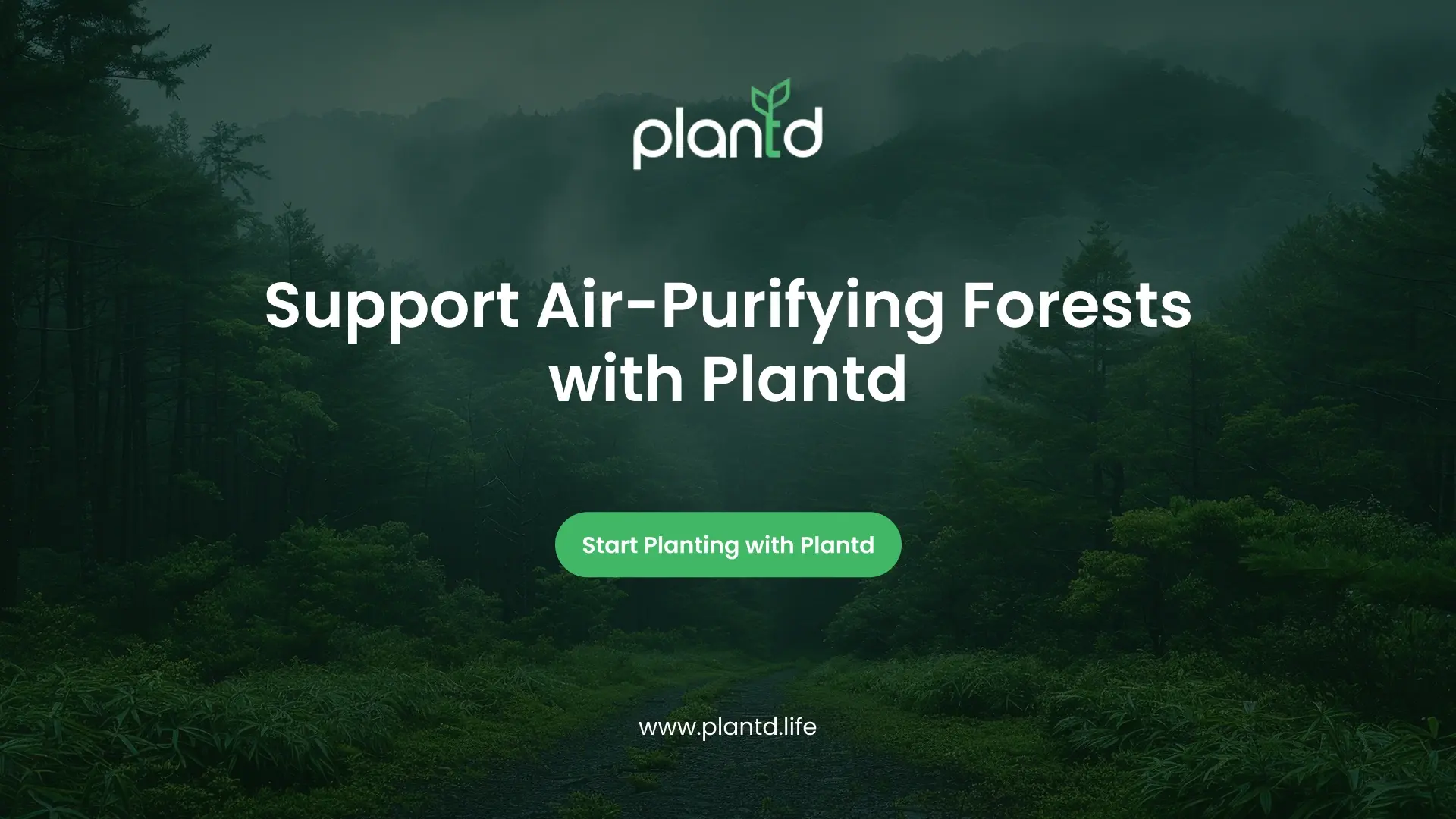 Support Air-Purifying Forests with Plantd
