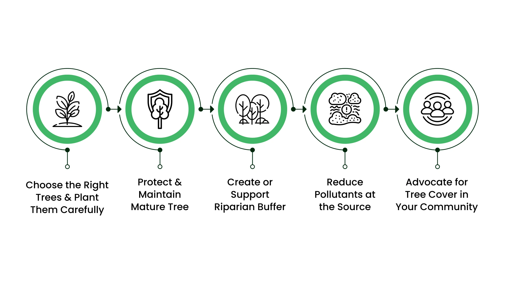 Practical Actions You Can Take