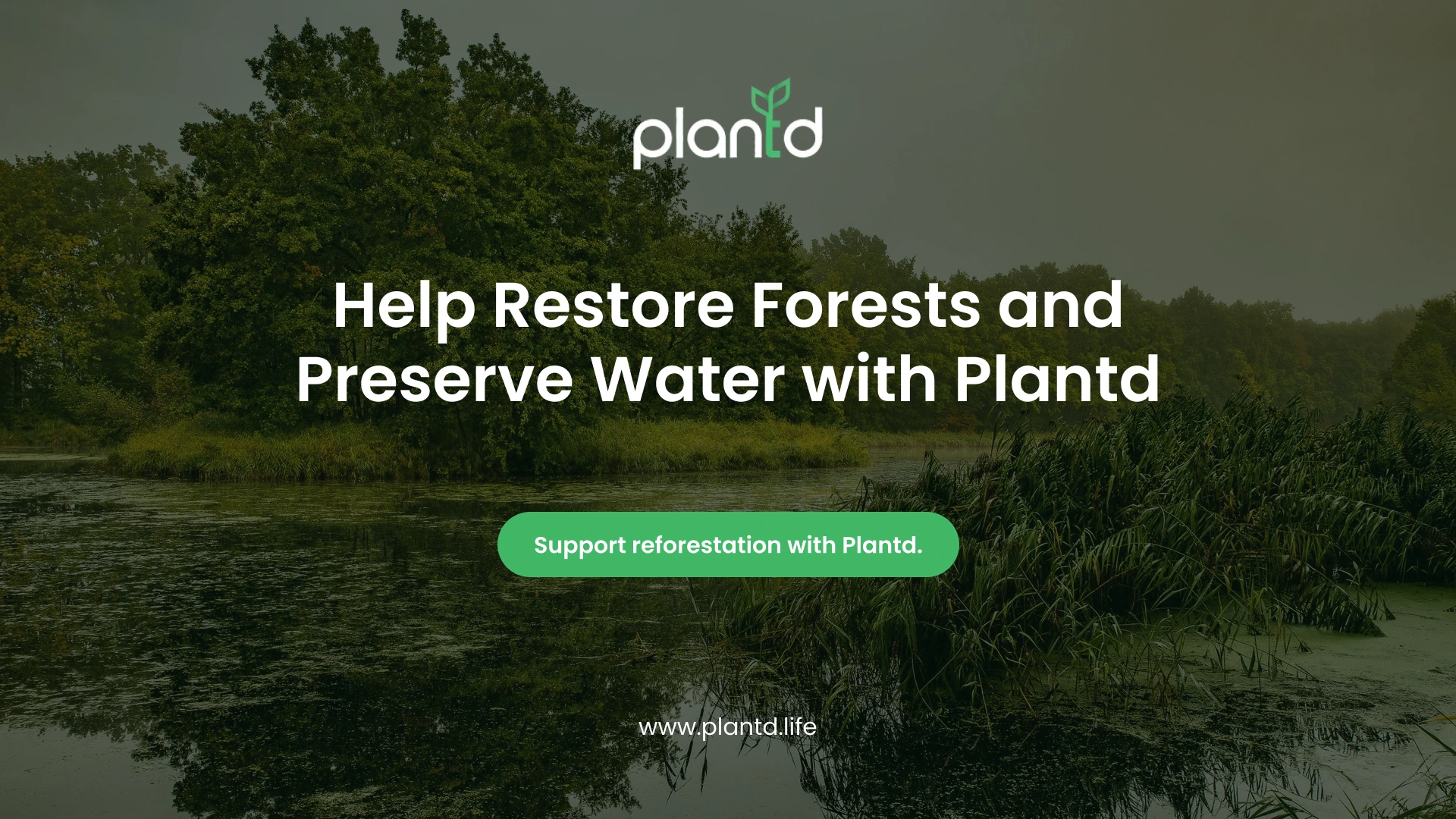 Help Restore Forests and Preserve Water with Plantd